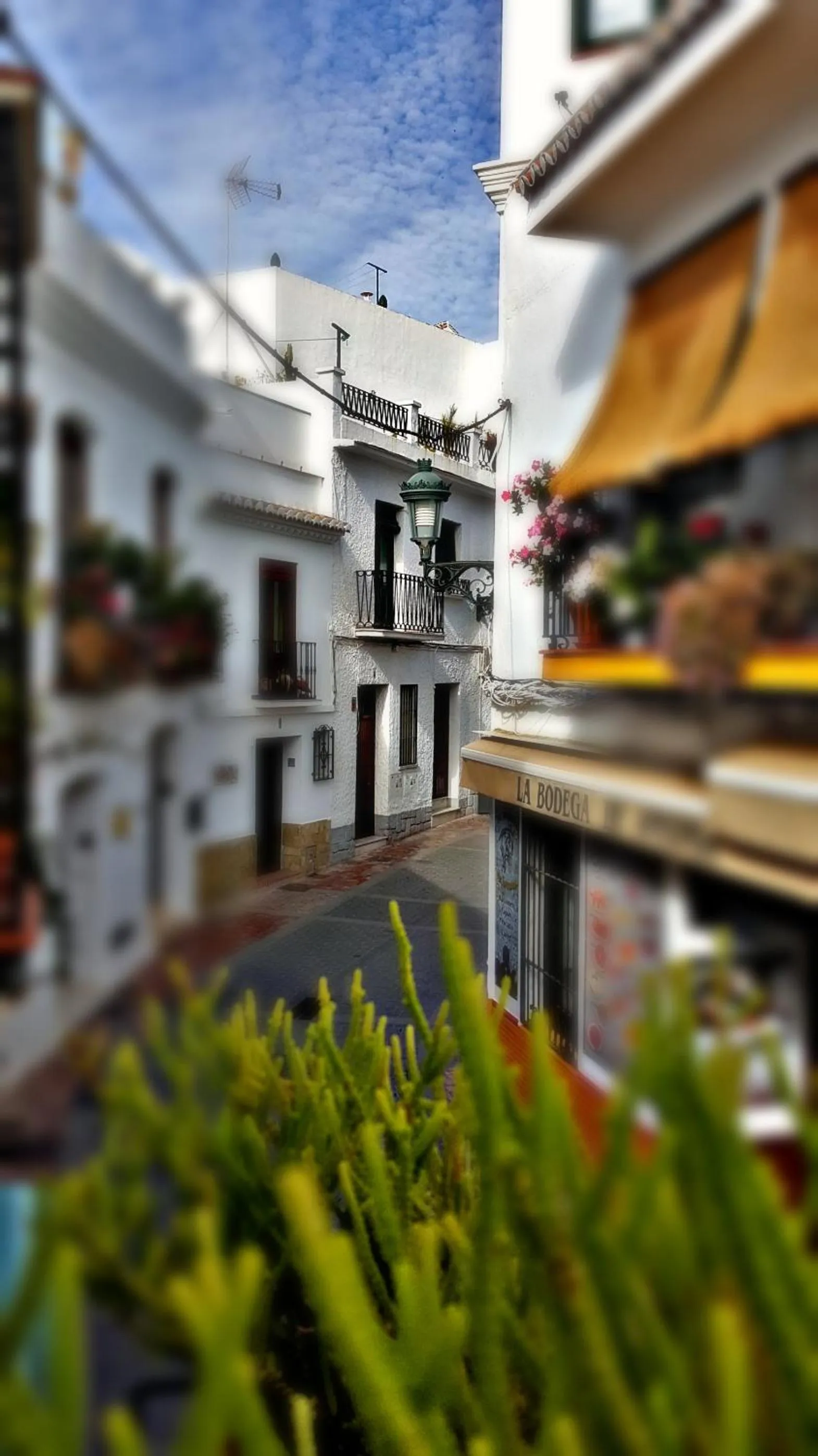 Property building in Villa Carabeo