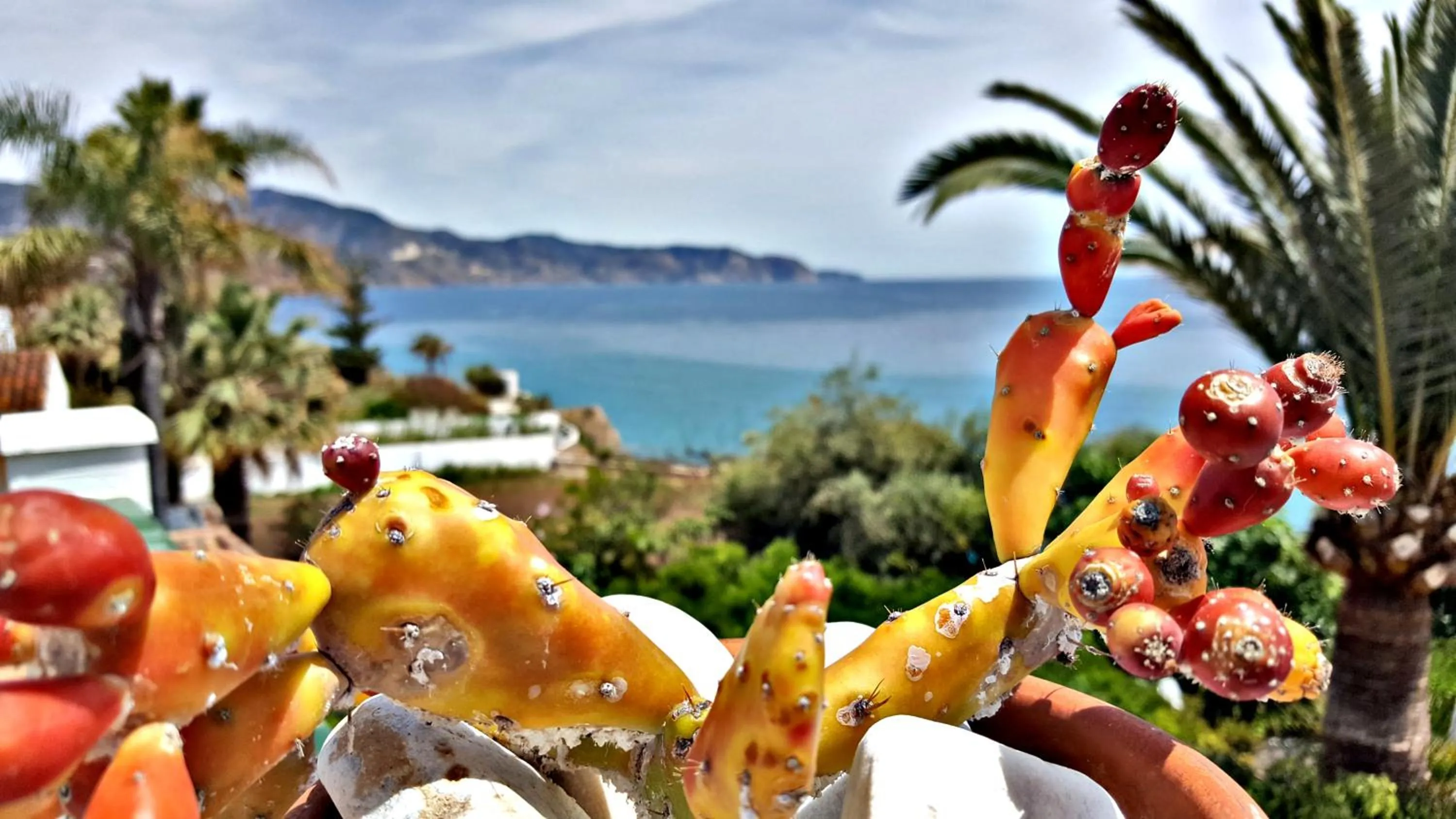 Balcony/Terrace in Villa Carabeo