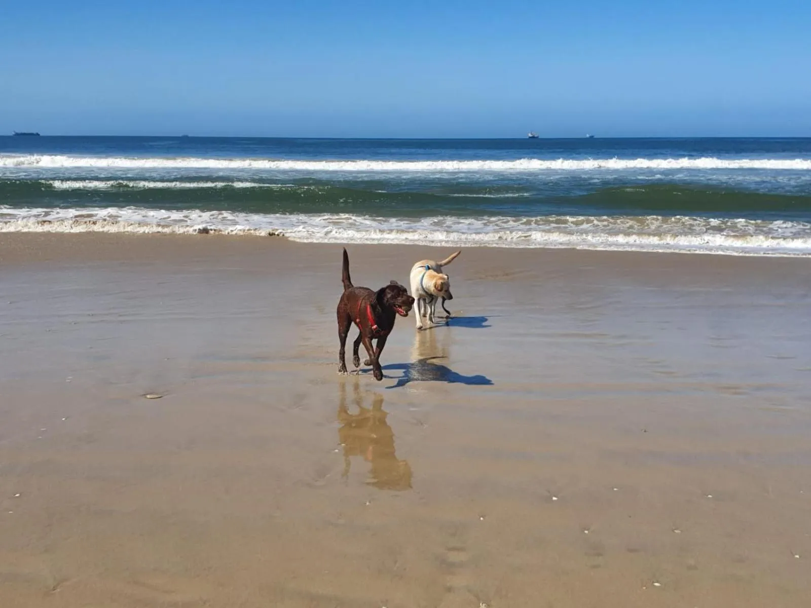 Beach in House Haven Guesthouse