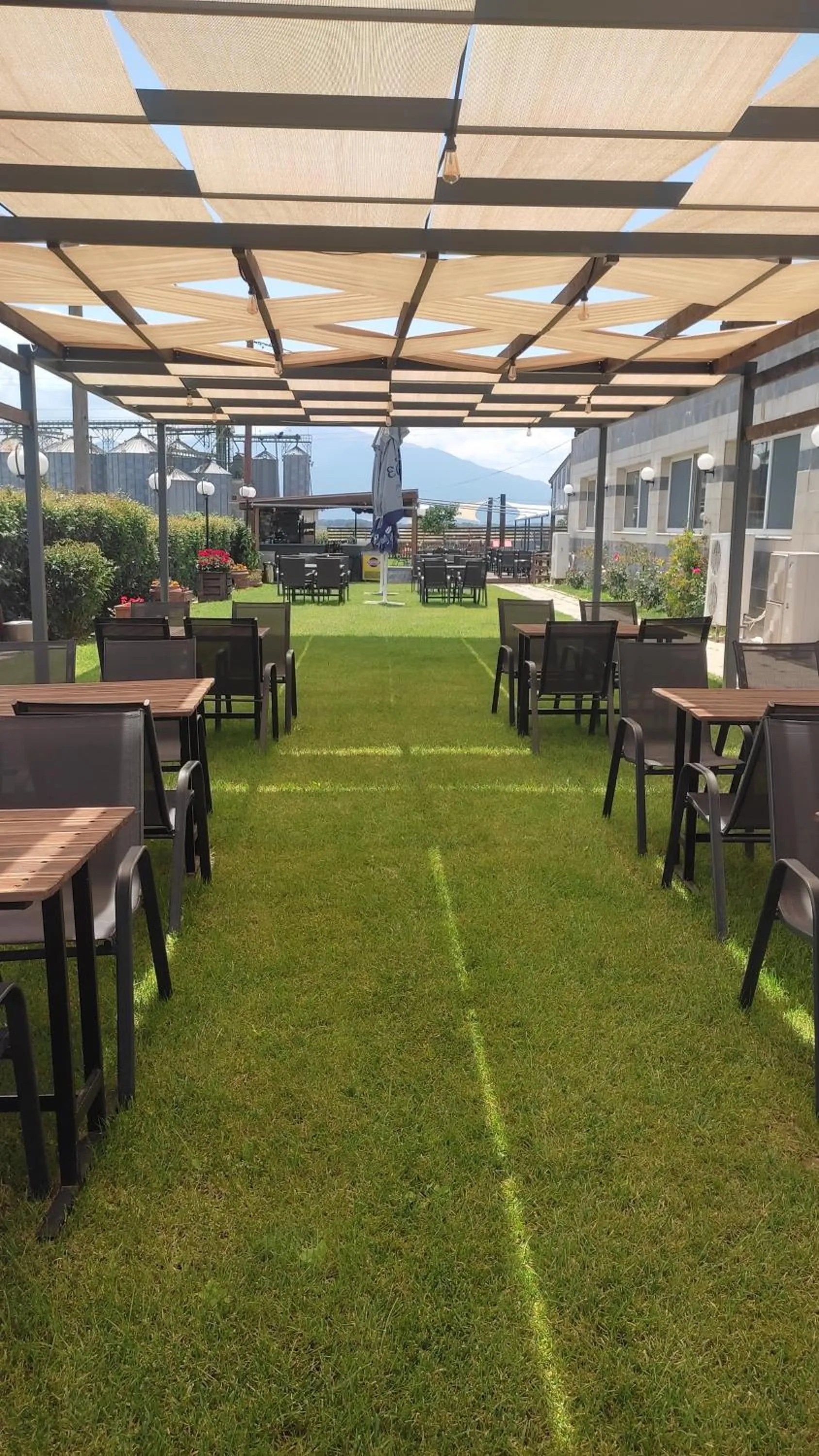 Garden in Hotel Alexandros