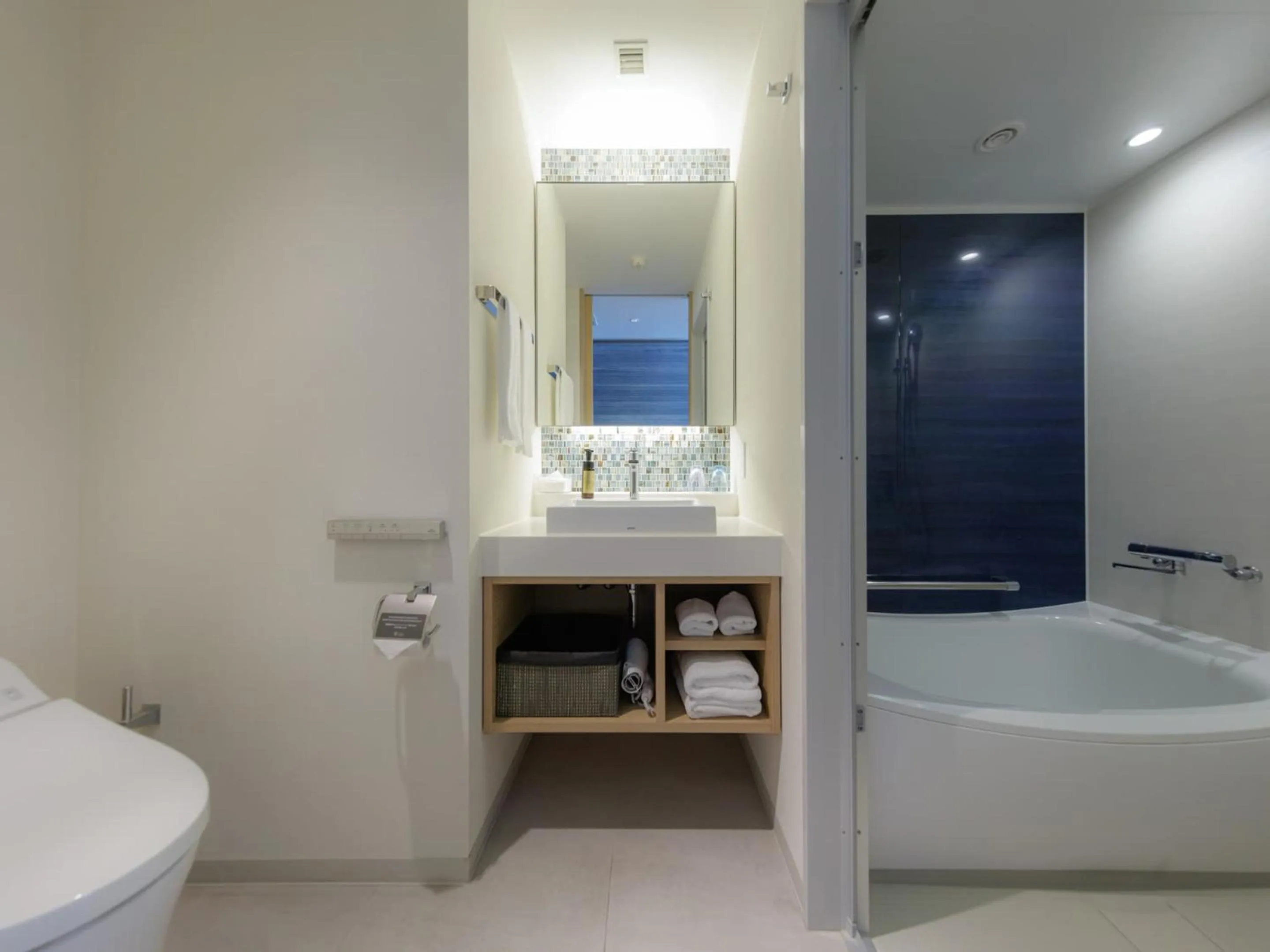 Bathroom in JR Kyushu Hotel Blossom Naha