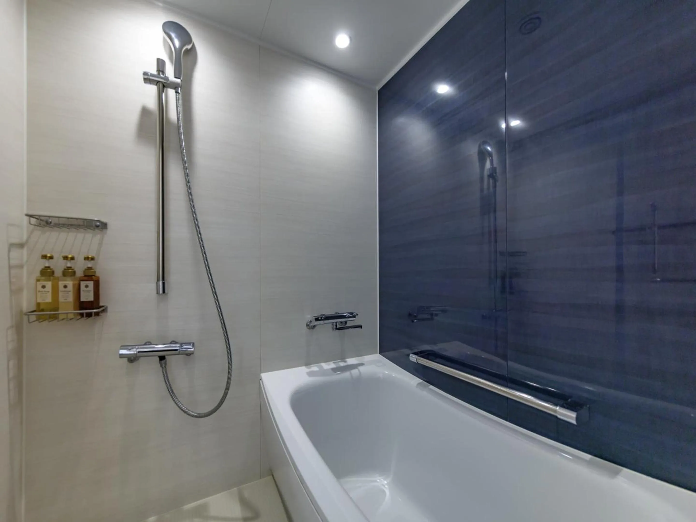 Bathroom in JR Kyushu Hotel Blossom Naha