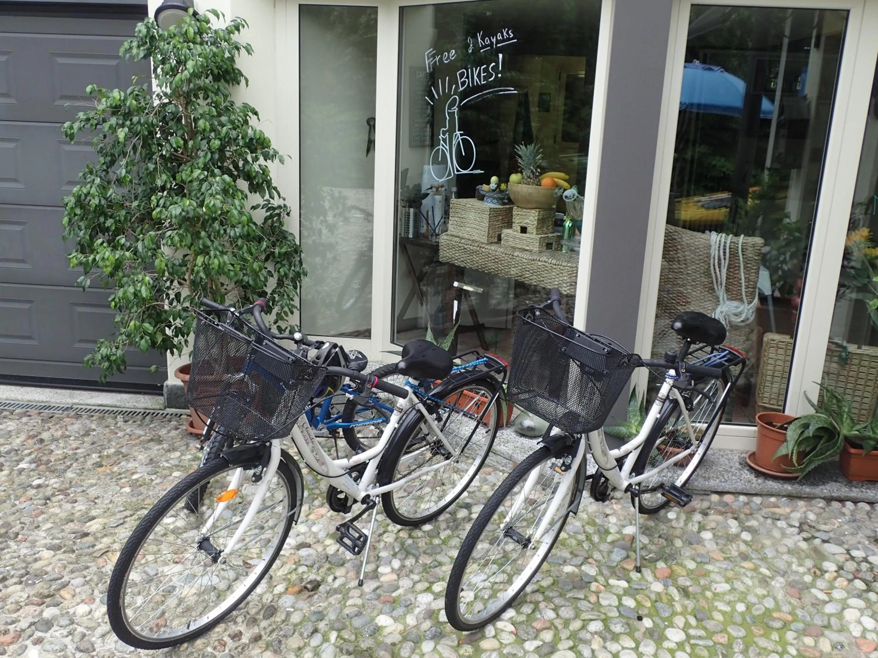 Cycling in B&B Dolce vista al lago Lugano