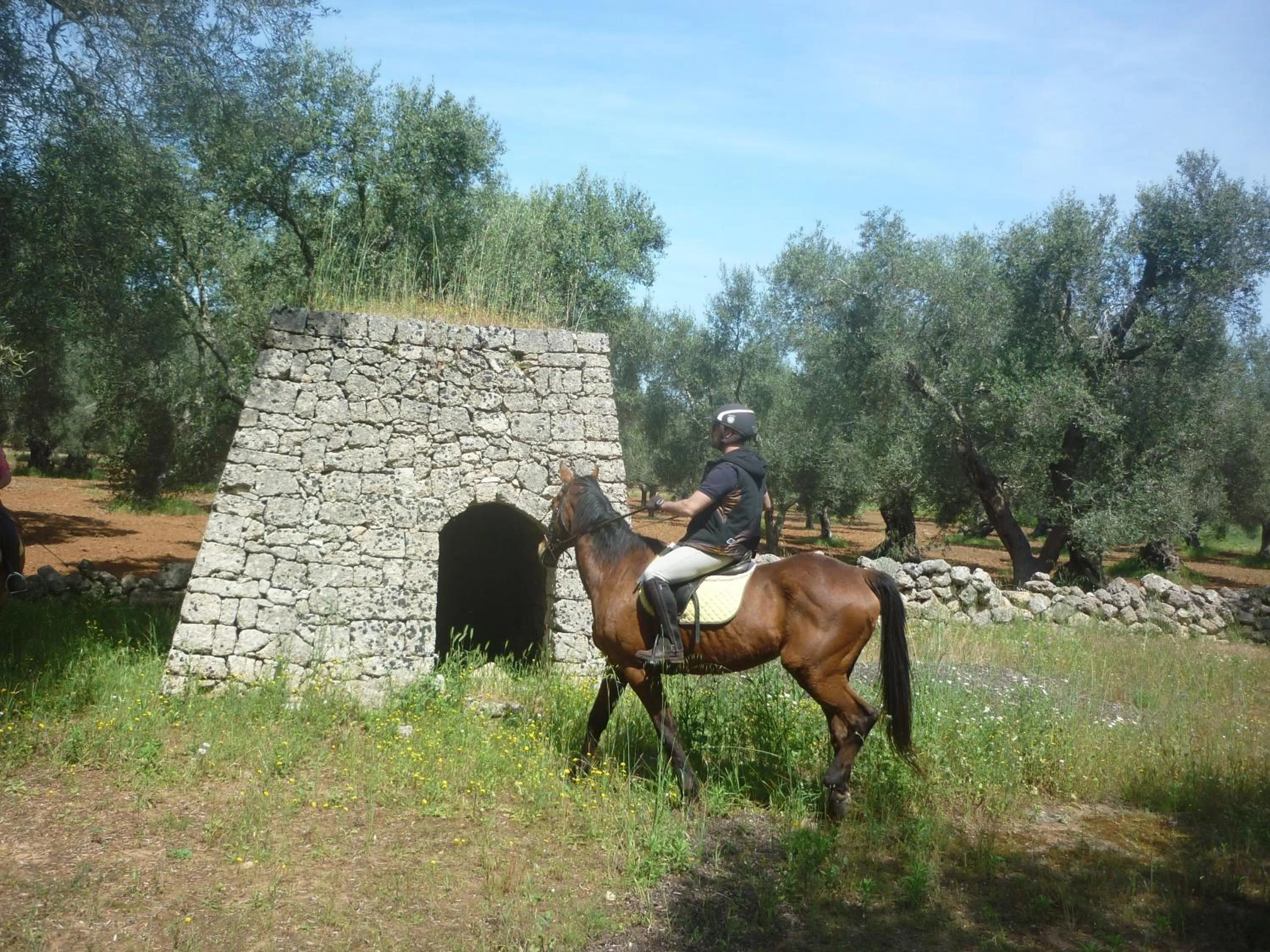Horse-riding in Masseria Li Campi