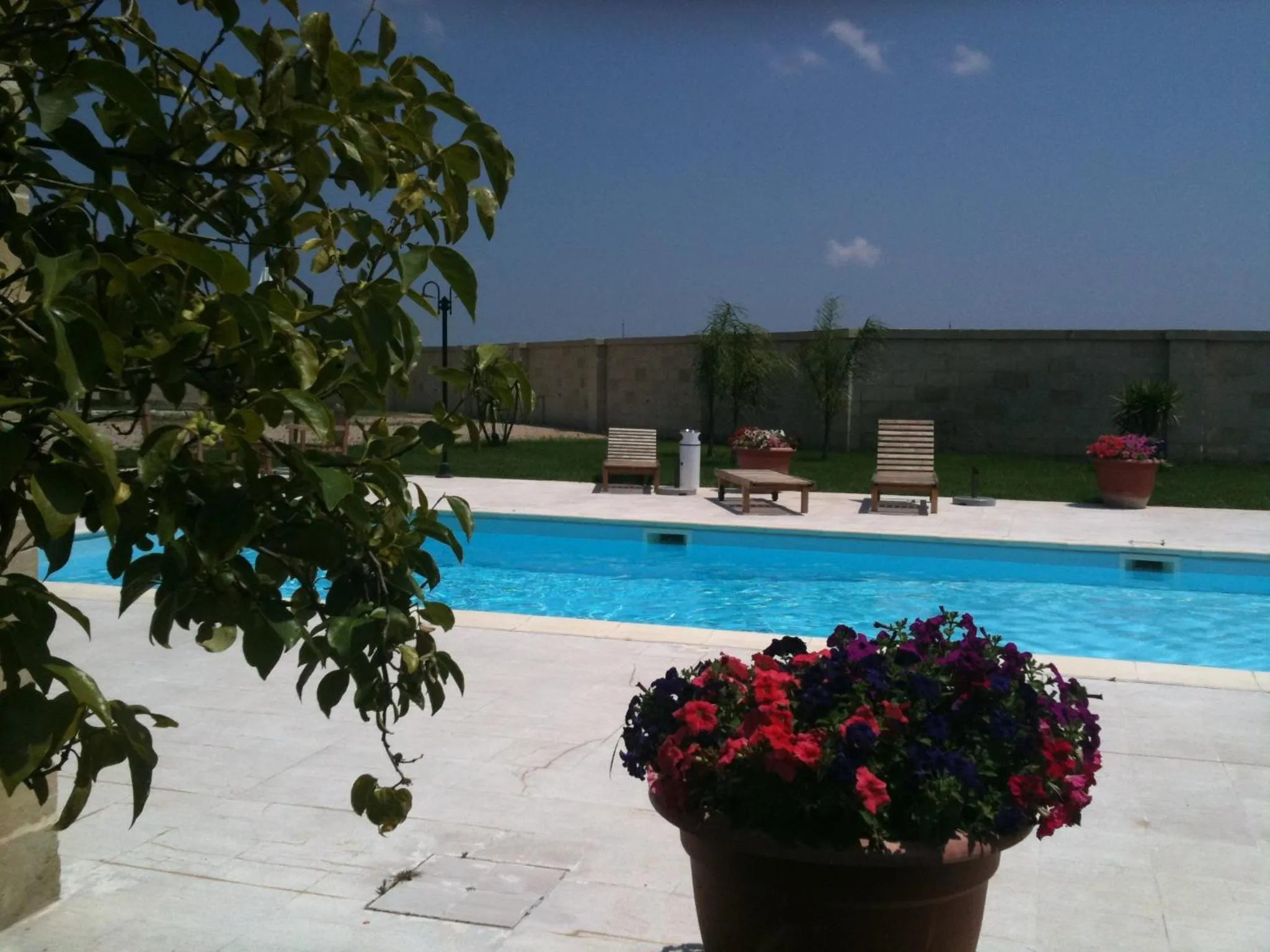 Swimming pool in Masseria Li Campi