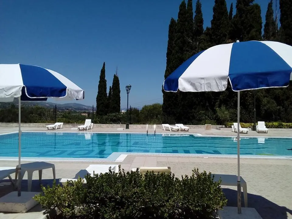 Swimming pool in Ζante Dolphin