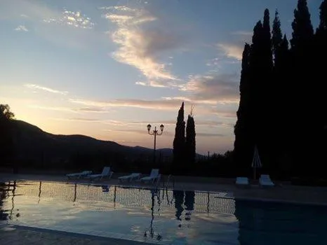 On site in Ζante Dolphin