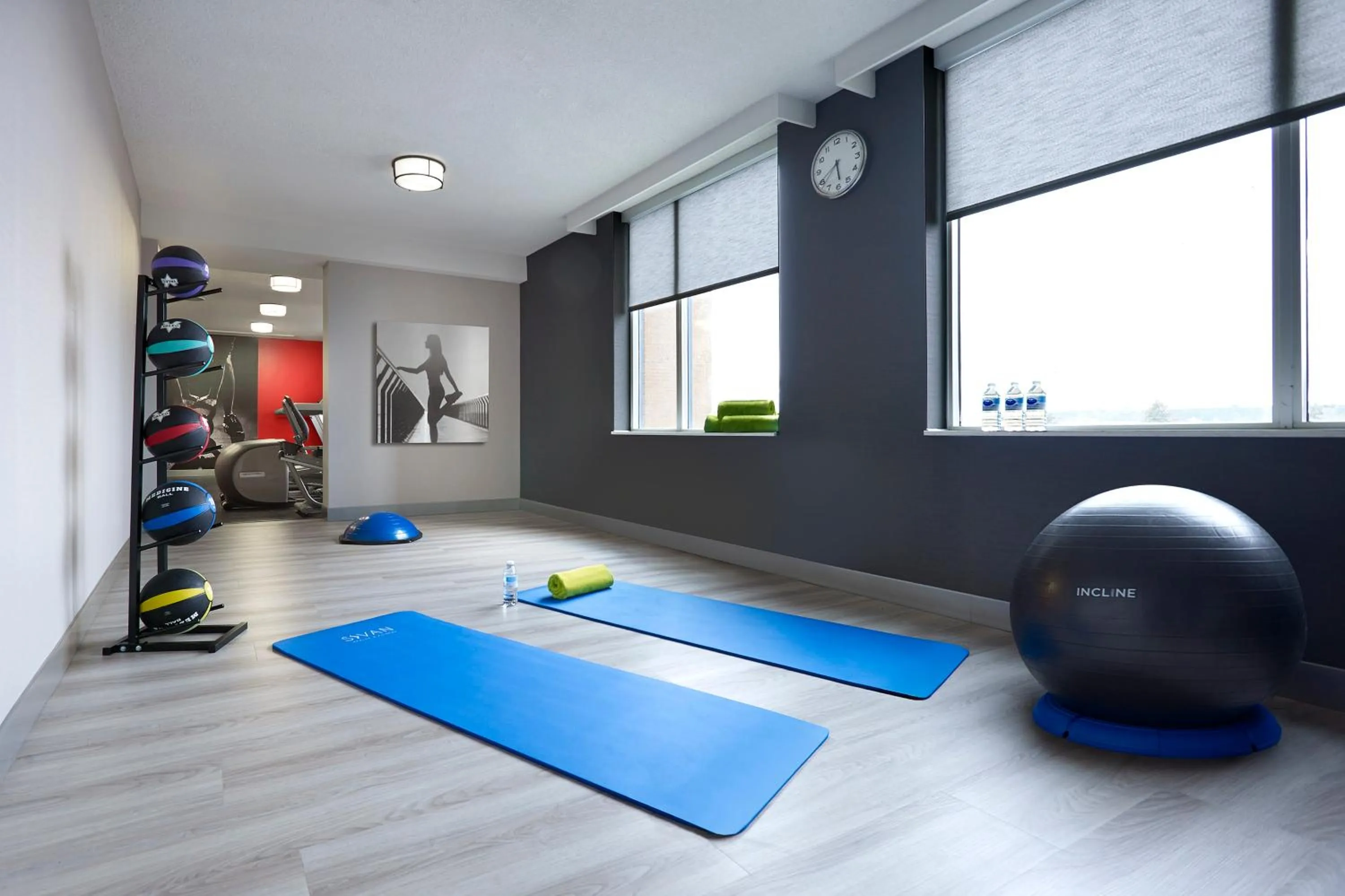 Fitness centre/facilities, Fitness Center/Facilities in Radisson Suites Hotel Toronto Airport
