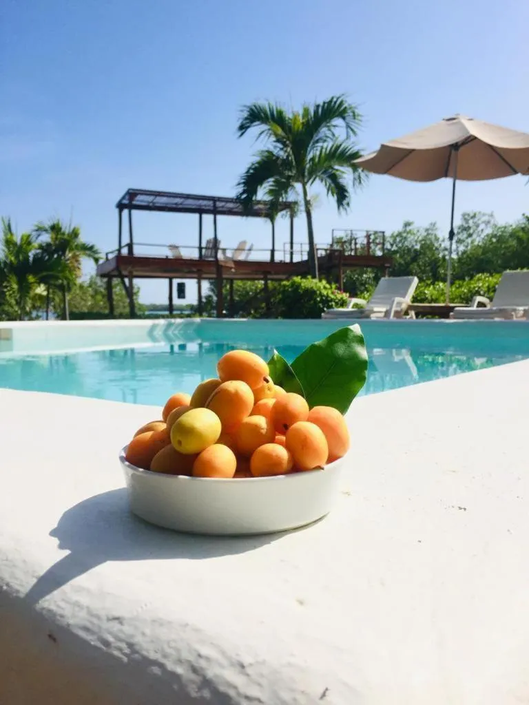 Day in Hotel Playa Scondida Barú