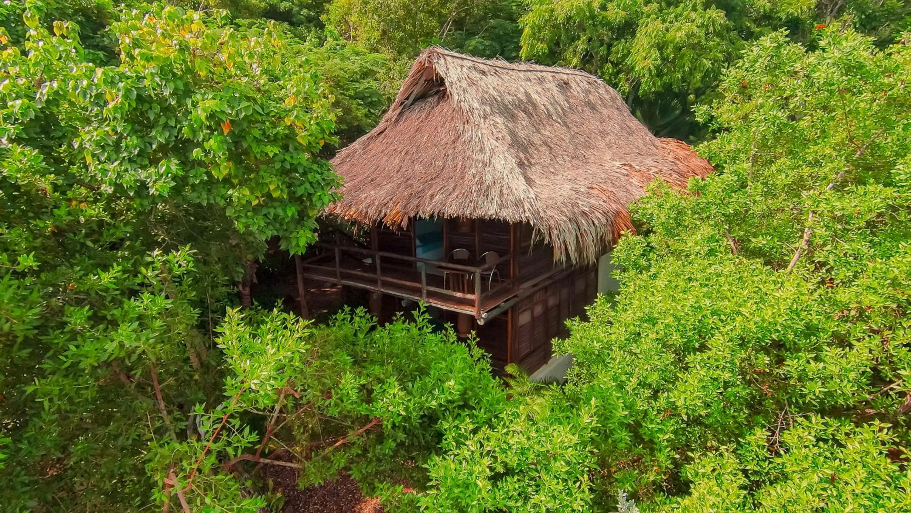 Natural landscape in Hotel Playa Scondida Barú