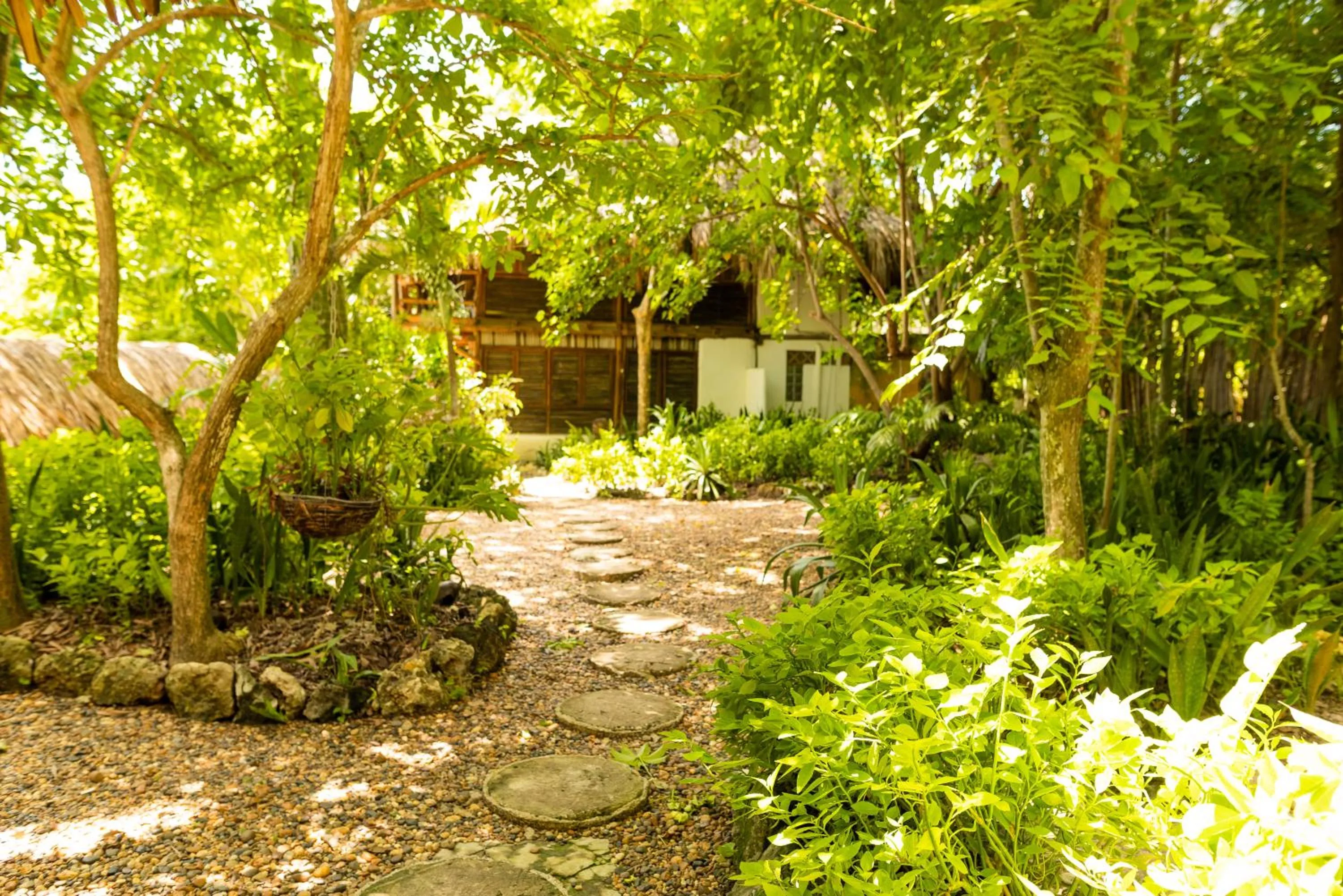 Property building in Hotel Playa Scondida Barú