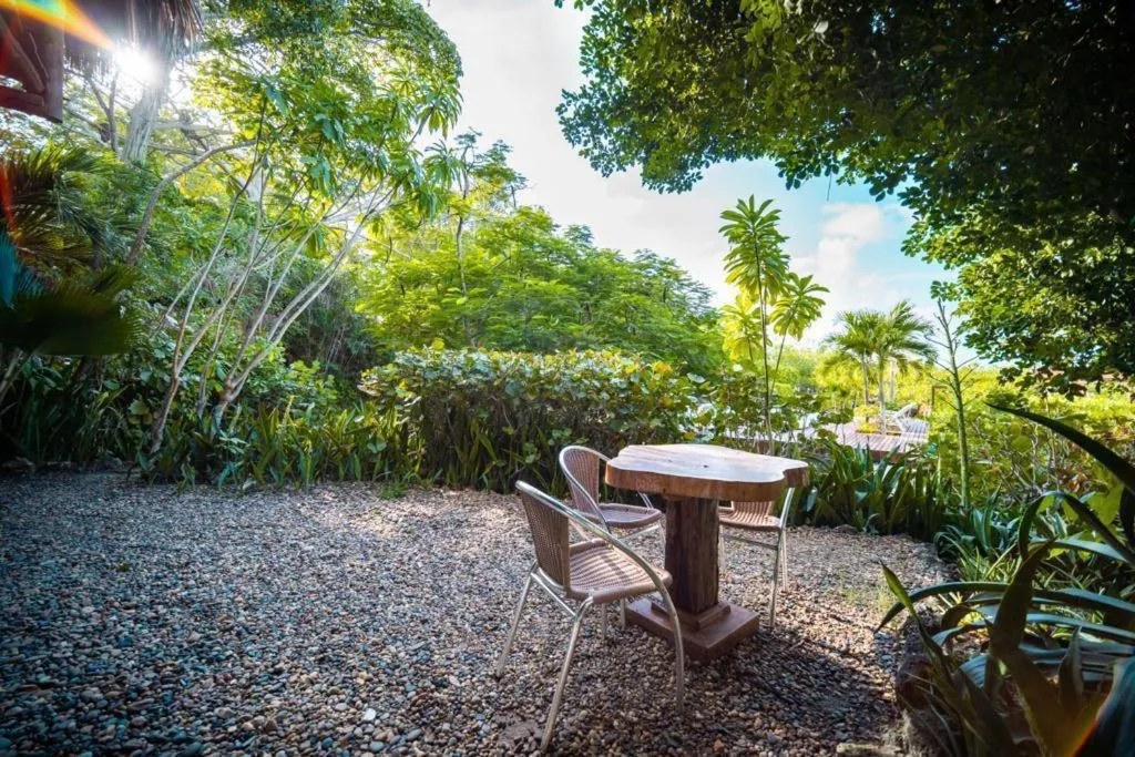 Day in Hotel Playa Scondida Barú