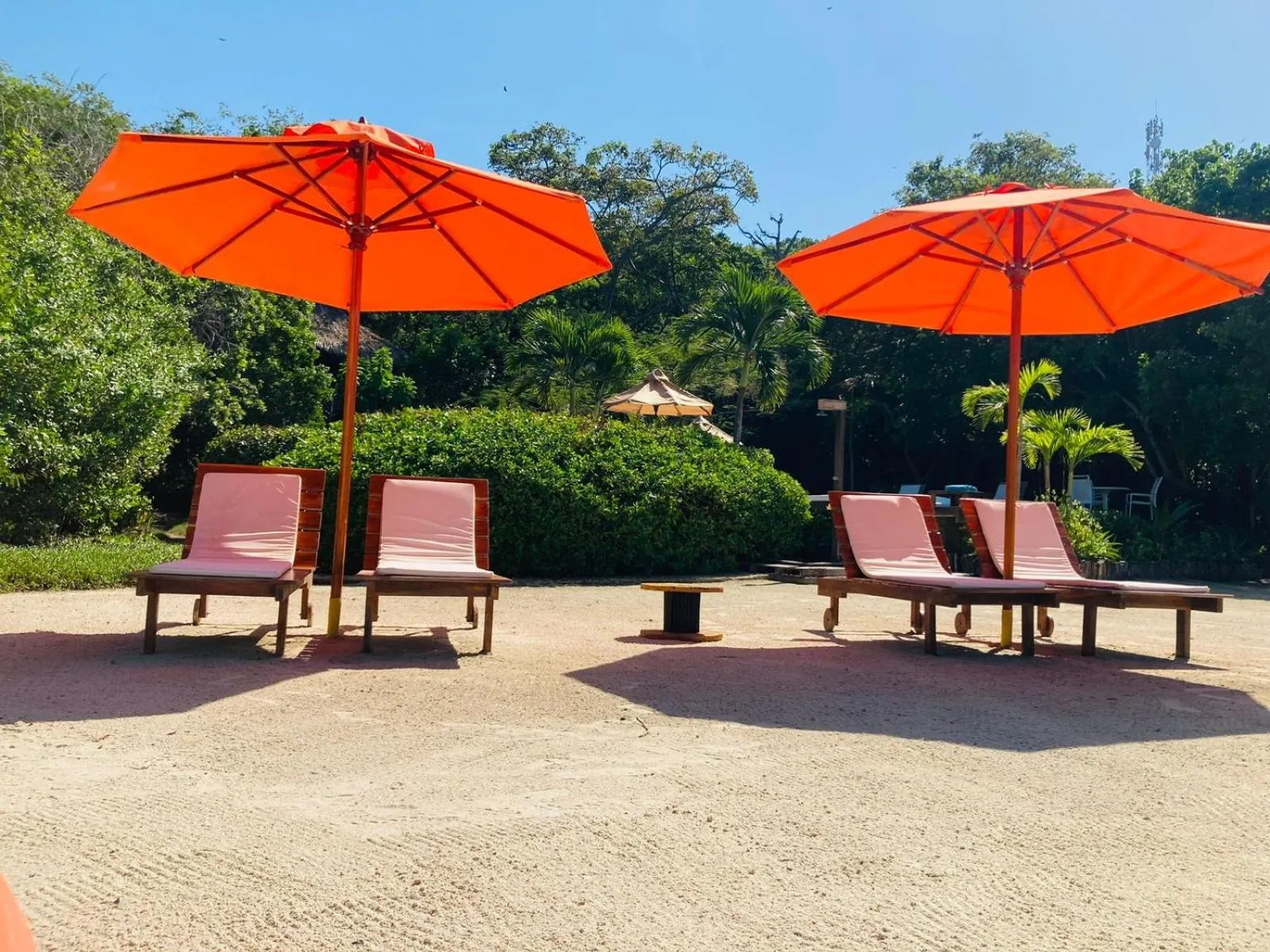 Garden in Hotel Playa Scondida Barú