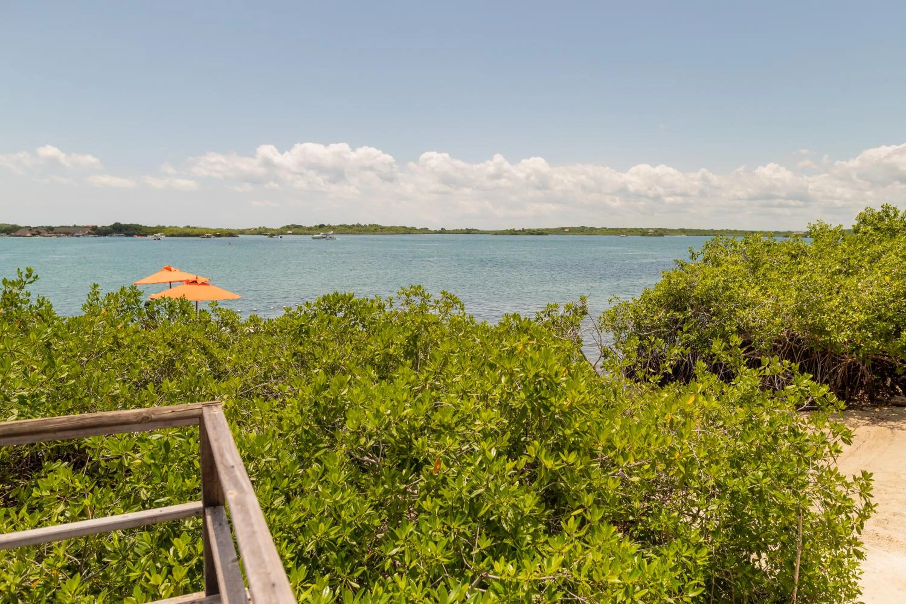 Natural landscape in Hotel Playa Scondida Barú