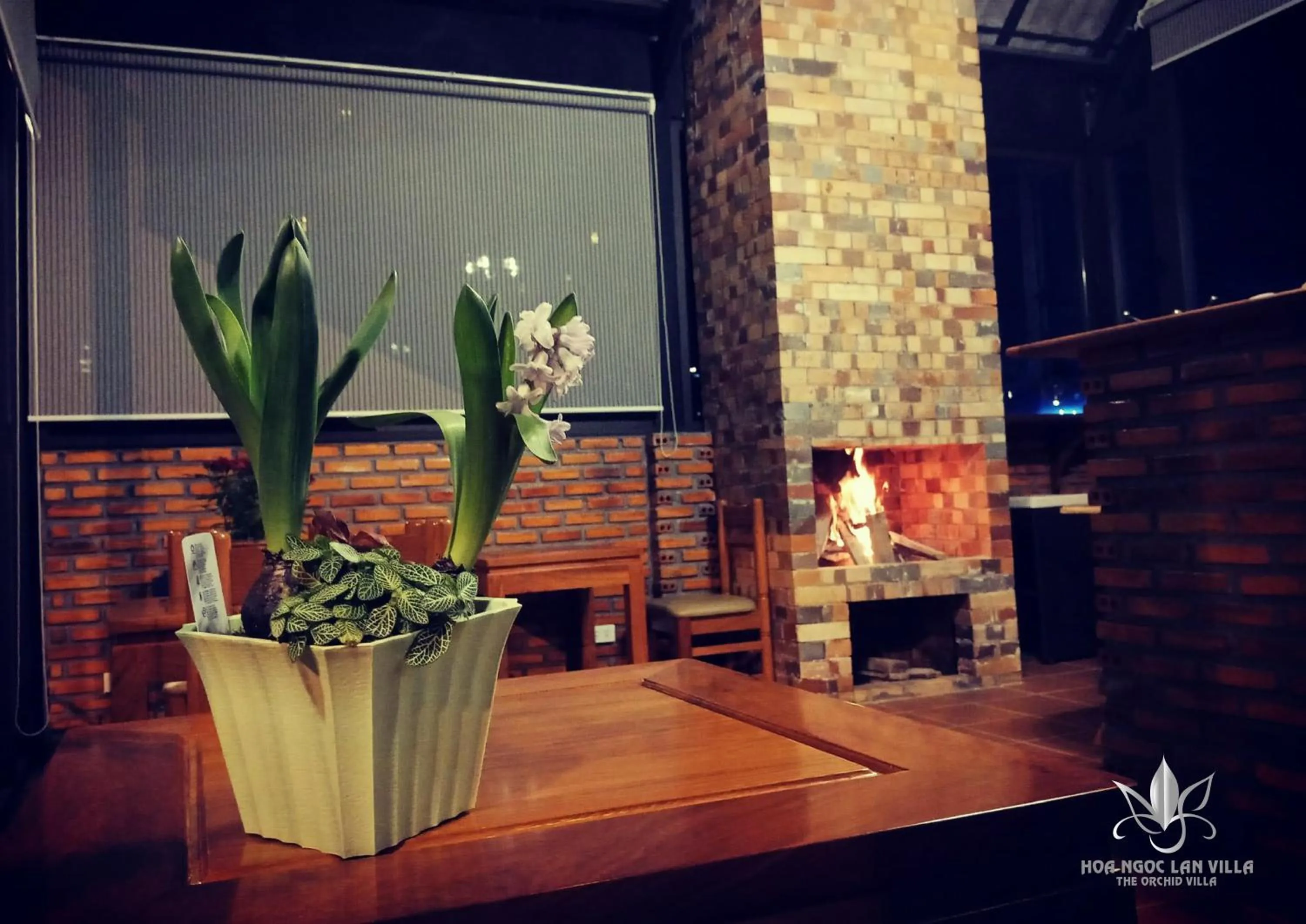 Restaurant/places to eat in Hoa Ngoc Lan - The Orchid Villa Dalat