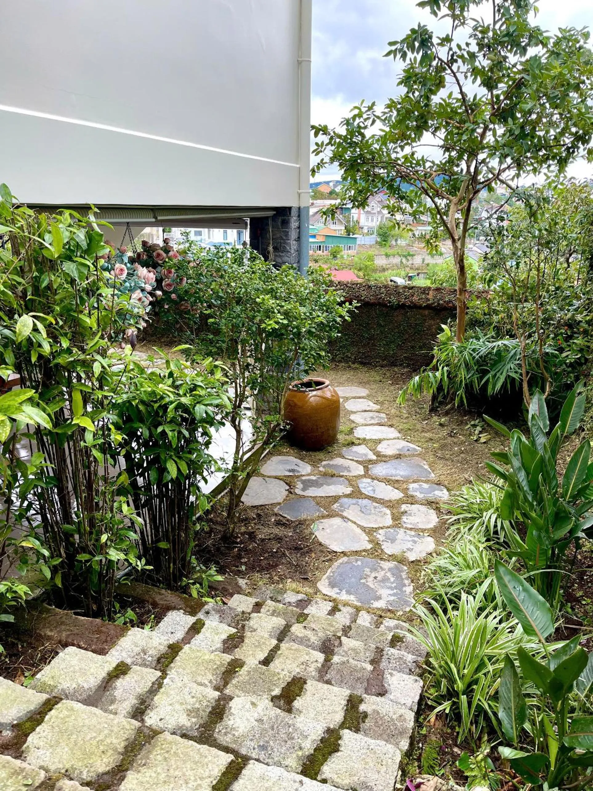 Hoa Ngoc Lan - The Orchid Villa Dalat