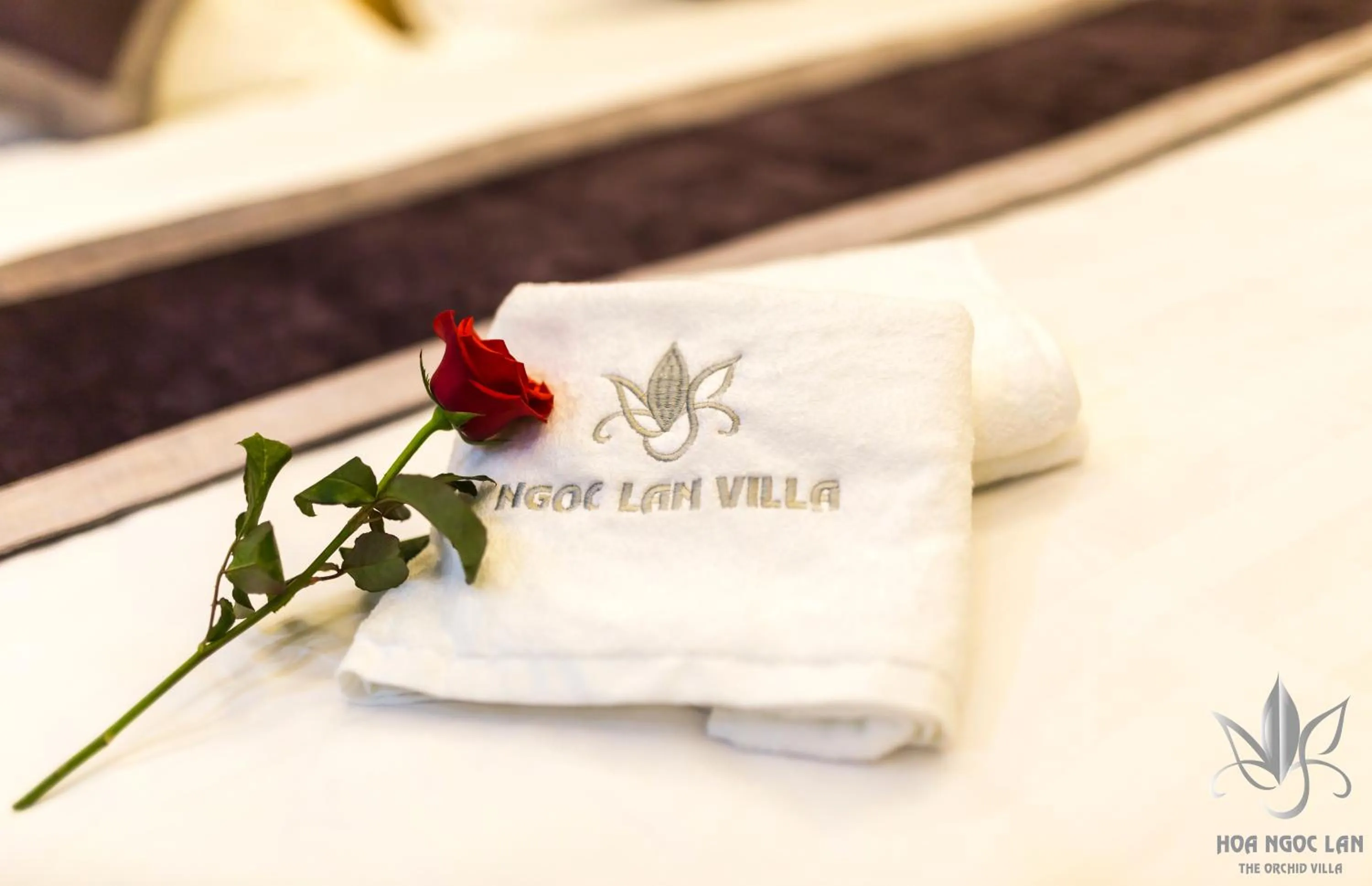 Decorative detail in Hoa Ngoc Lan - The Orchid Villa Dalat