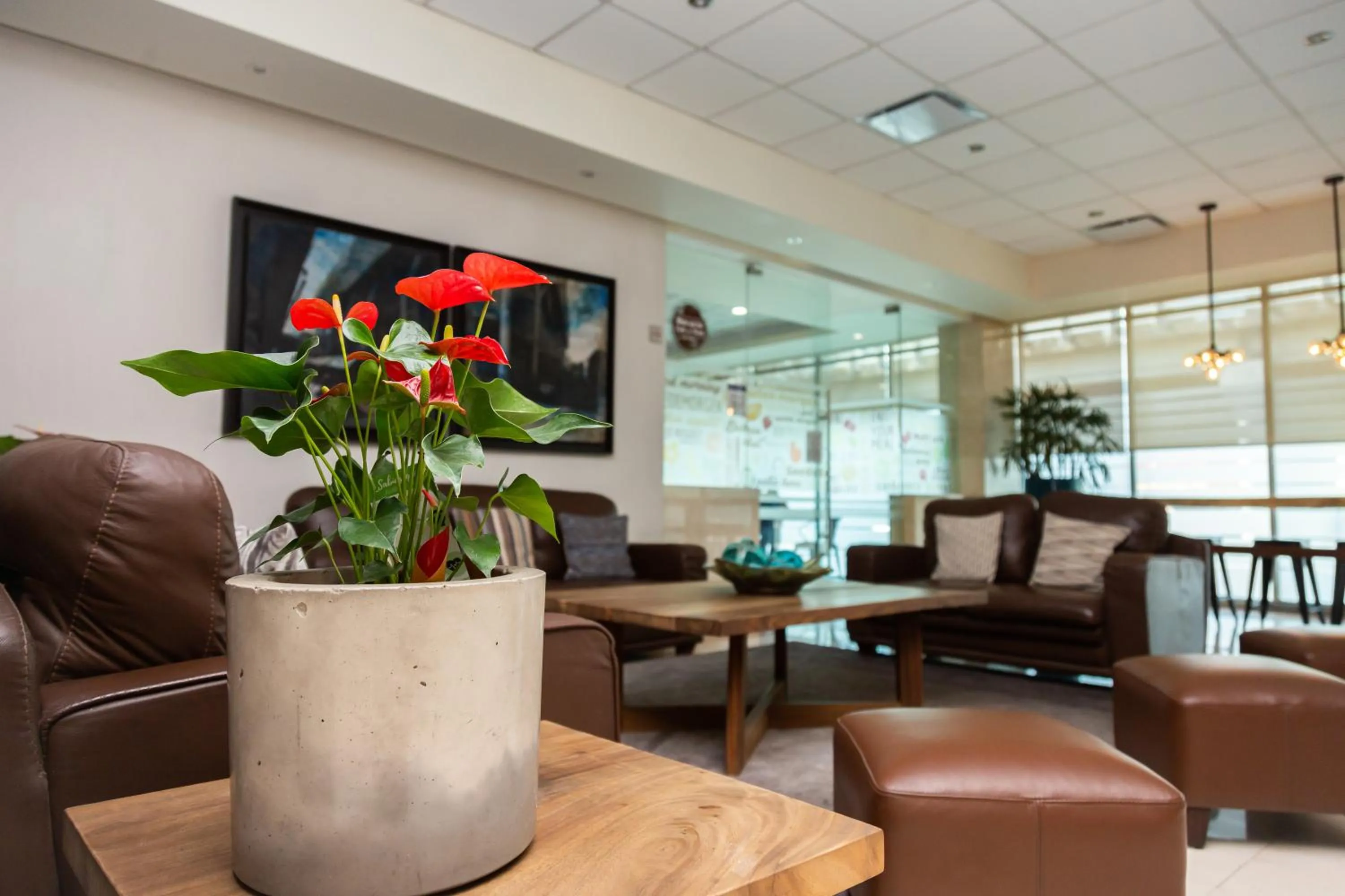 Living room in Hotel Expo Abastos