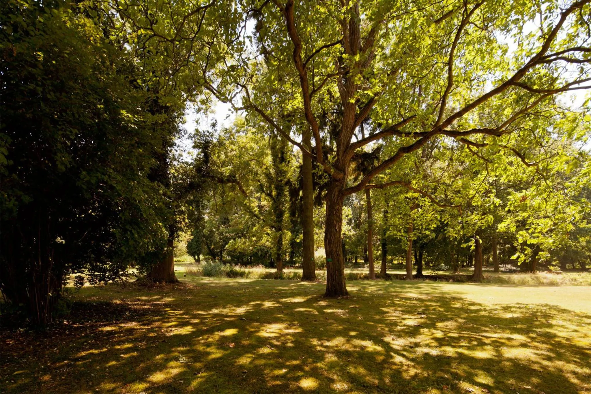 Garden in Schlosshotel Ziethen