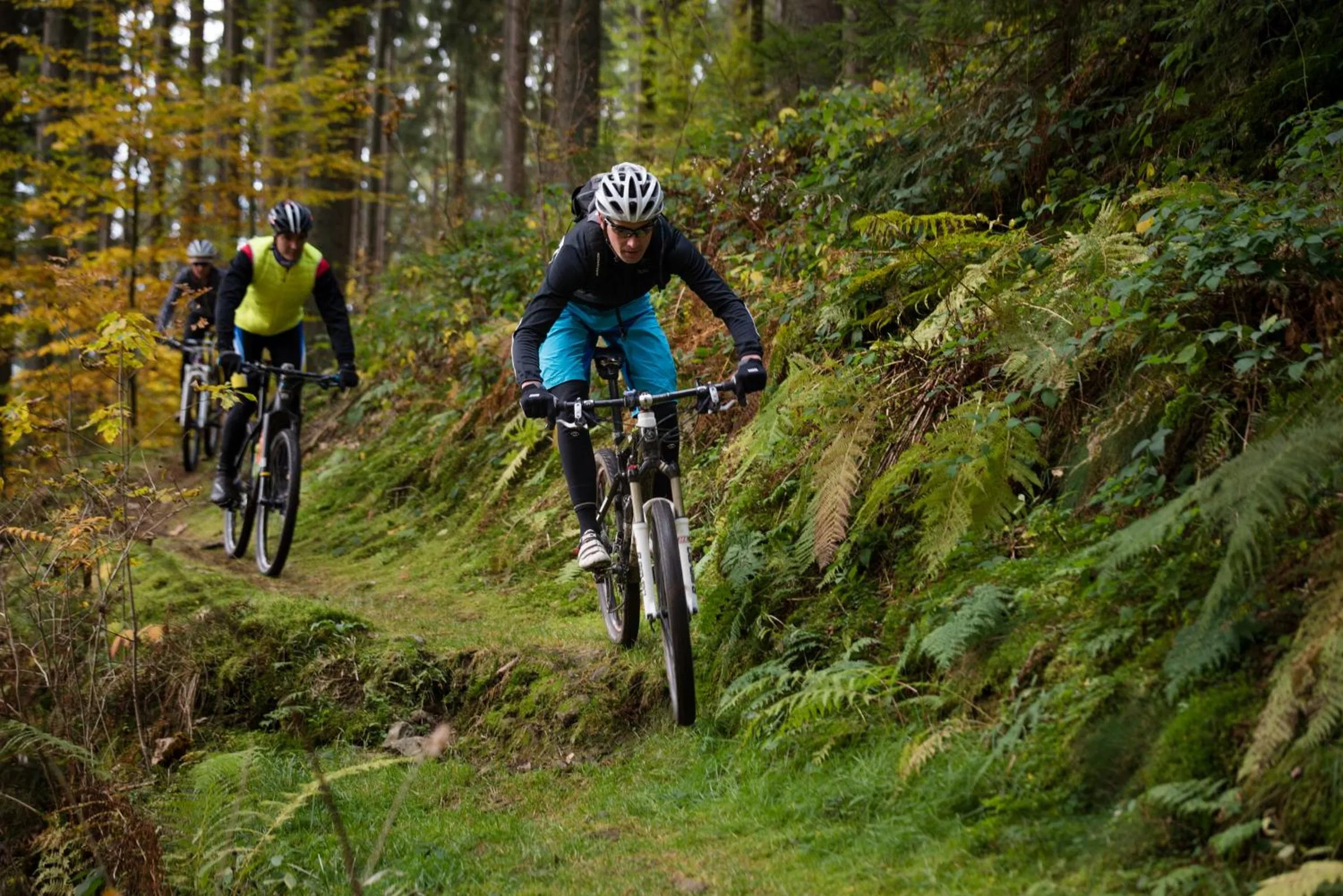 Cycling in Hotel Bären Titisee