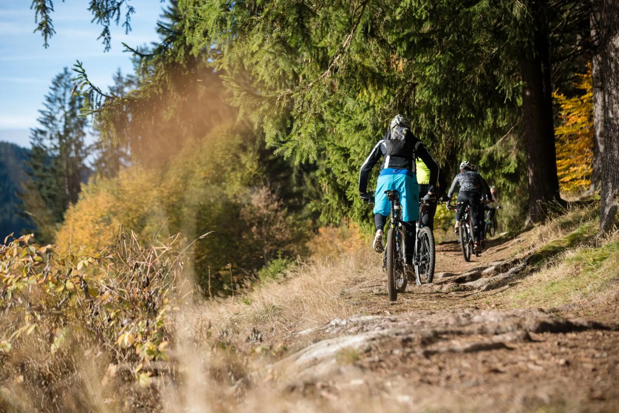 Cycling in Hotel Bären Titisee