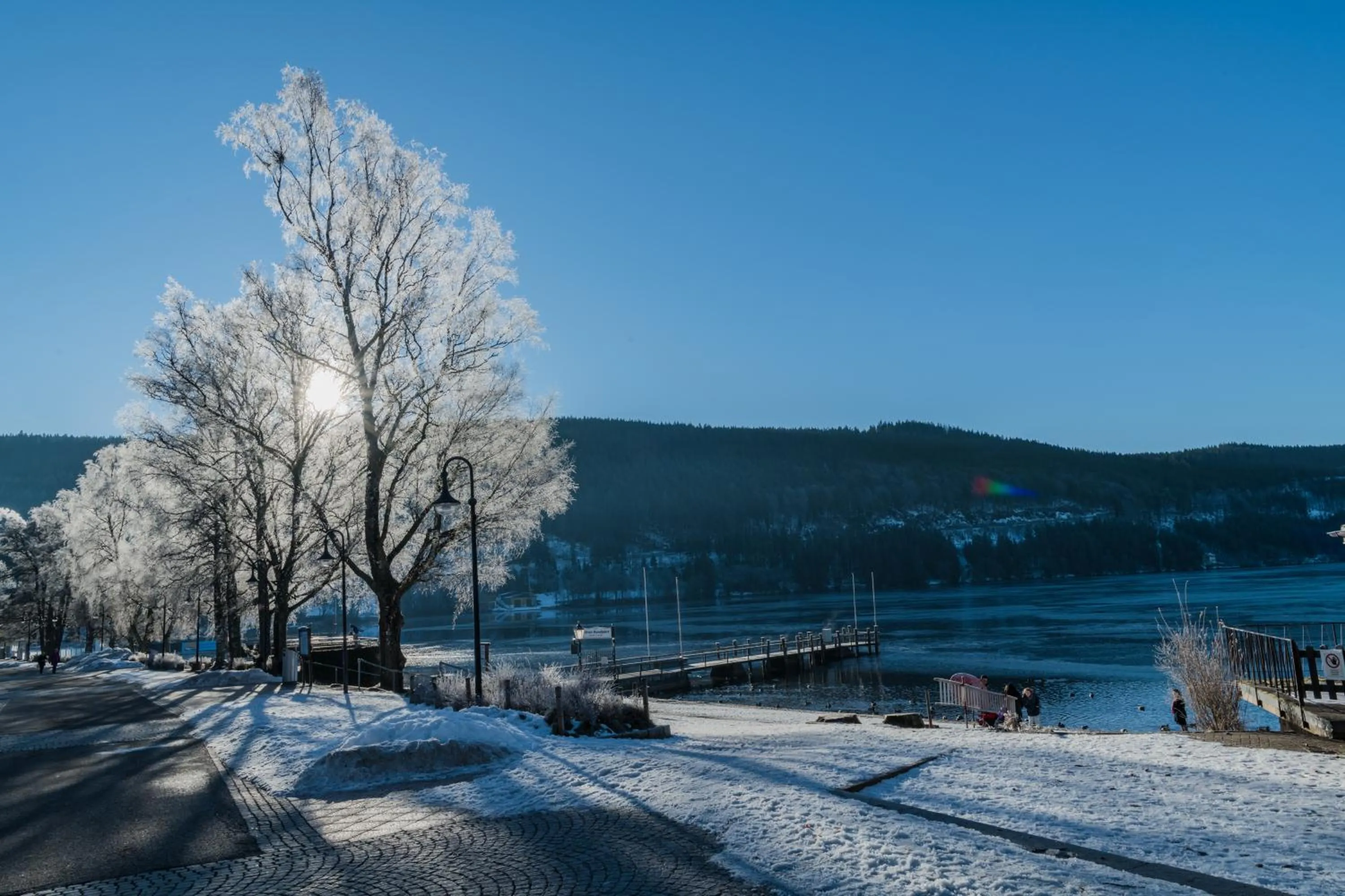 Natural landscape in Hotel Bären Titisee