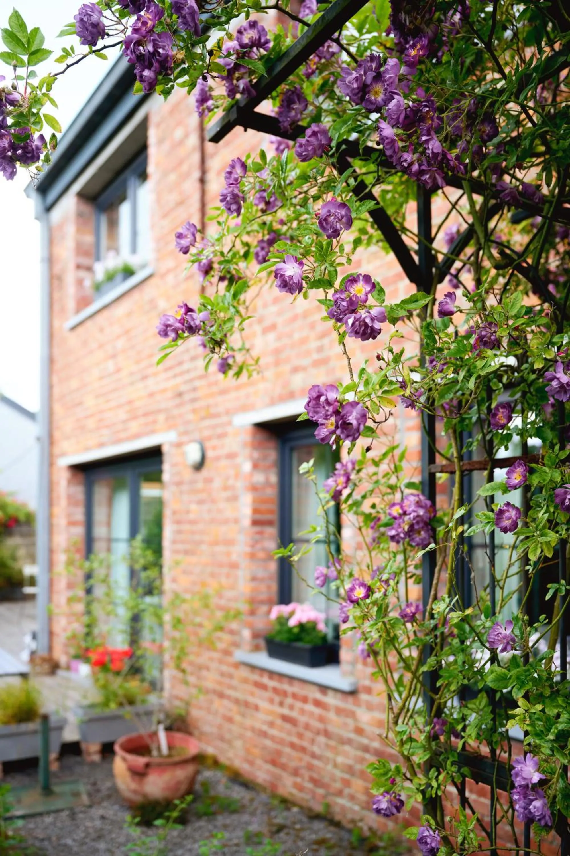 Property building in B&B Destiny