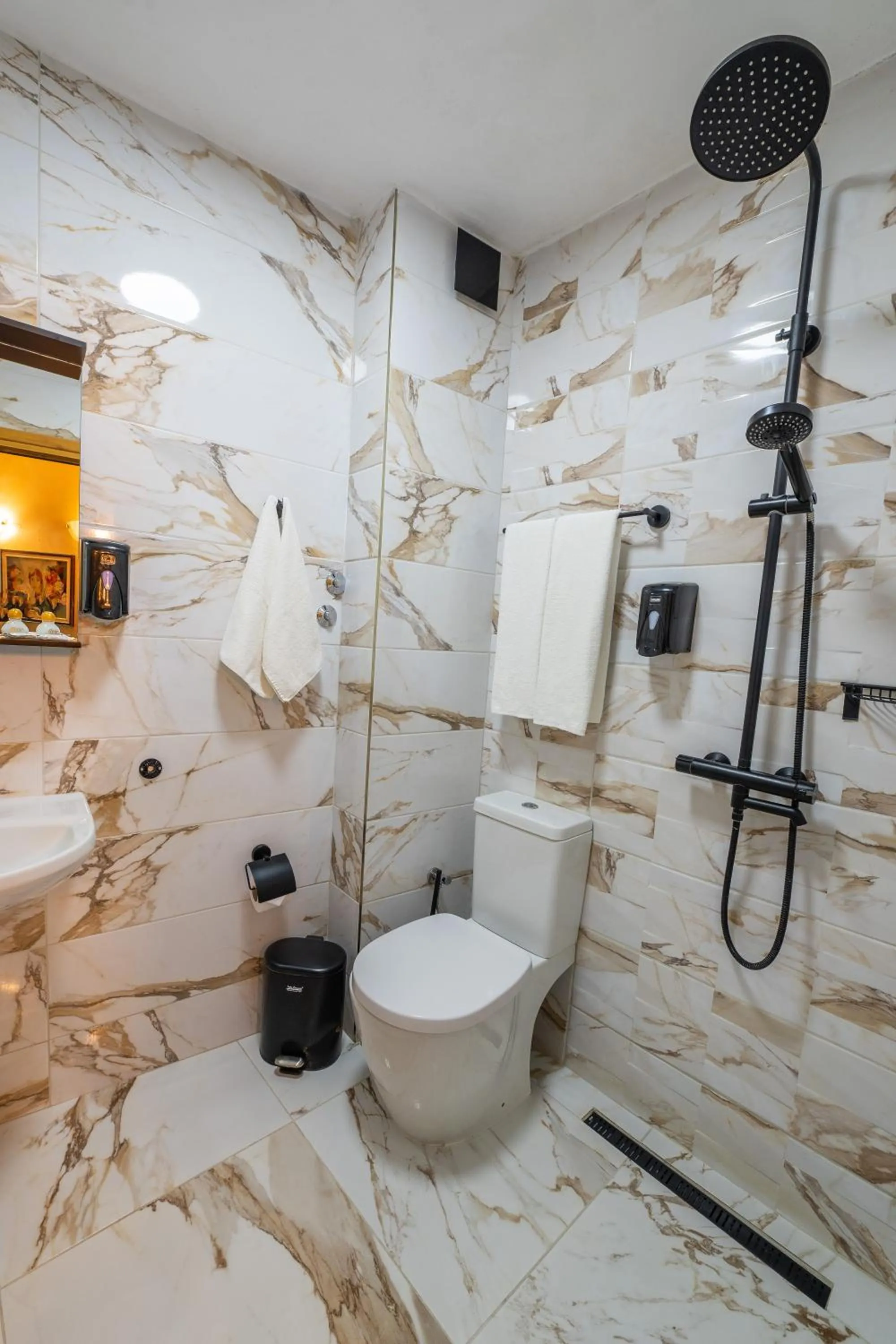 Shower in Hotel Color