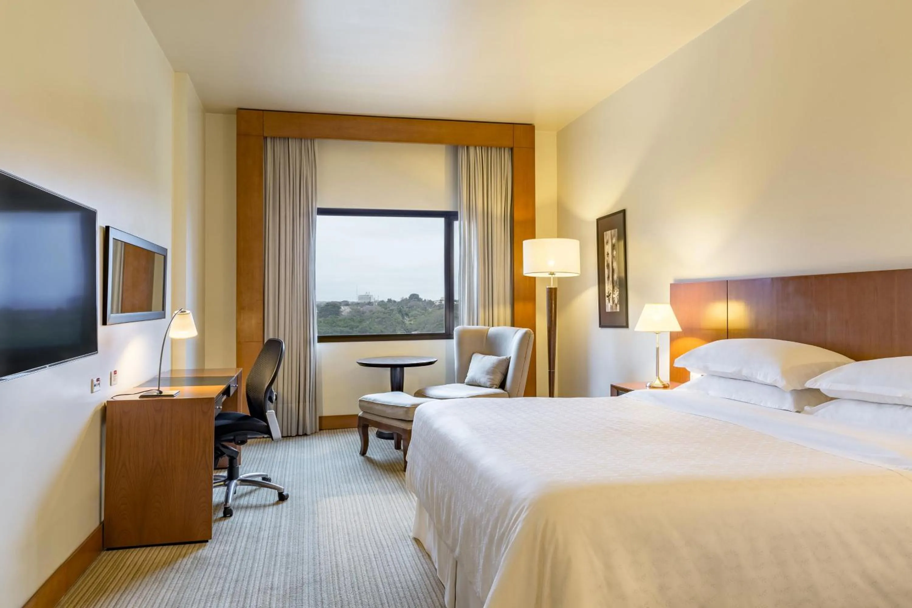 Photo of the whole room, Bed in Sheraton Asuncion Hotel