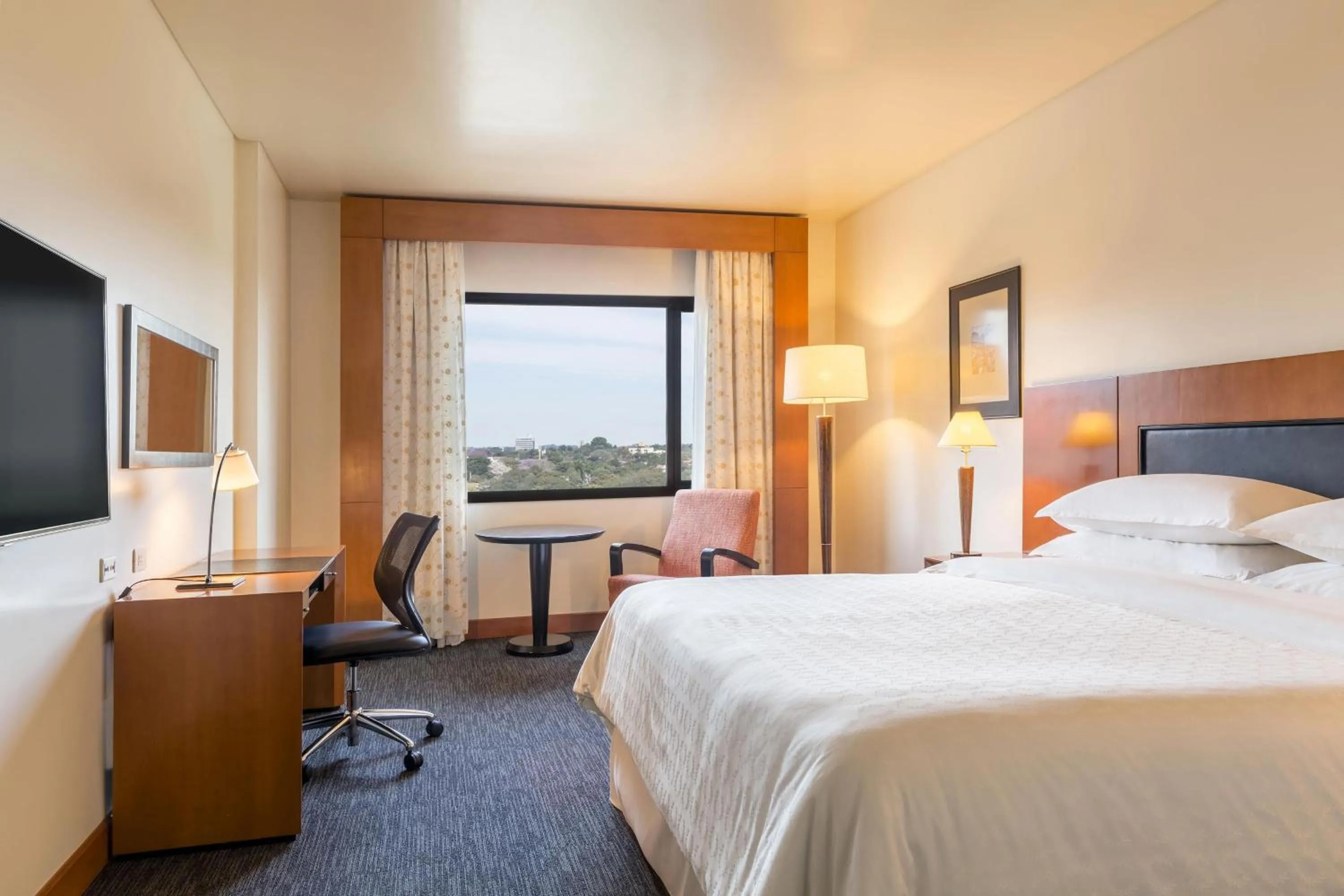 Photo of the whole room, Bed in Sheraton Asuncion Hotel