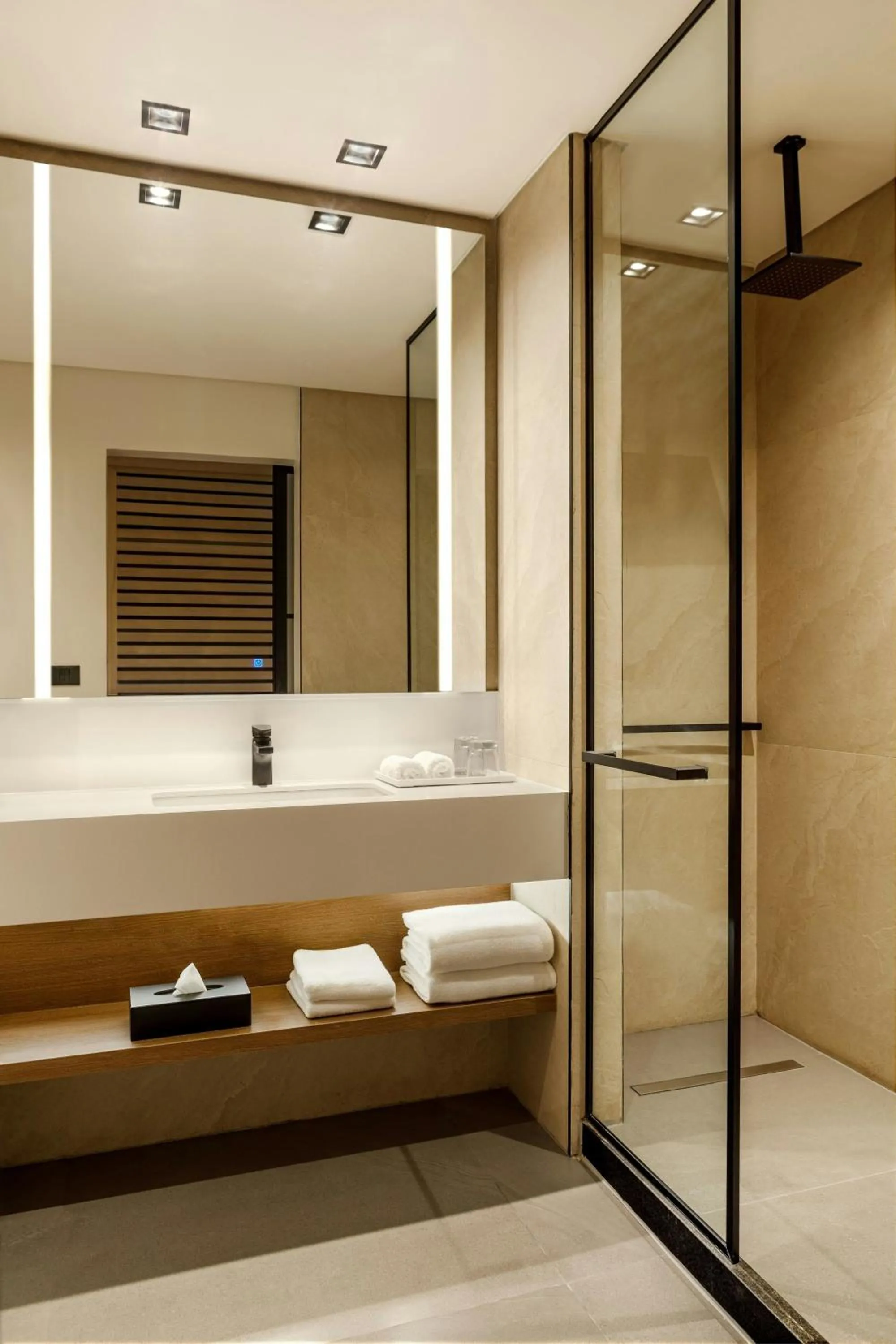 Bathroom in Sheraton Asuncion Hotel