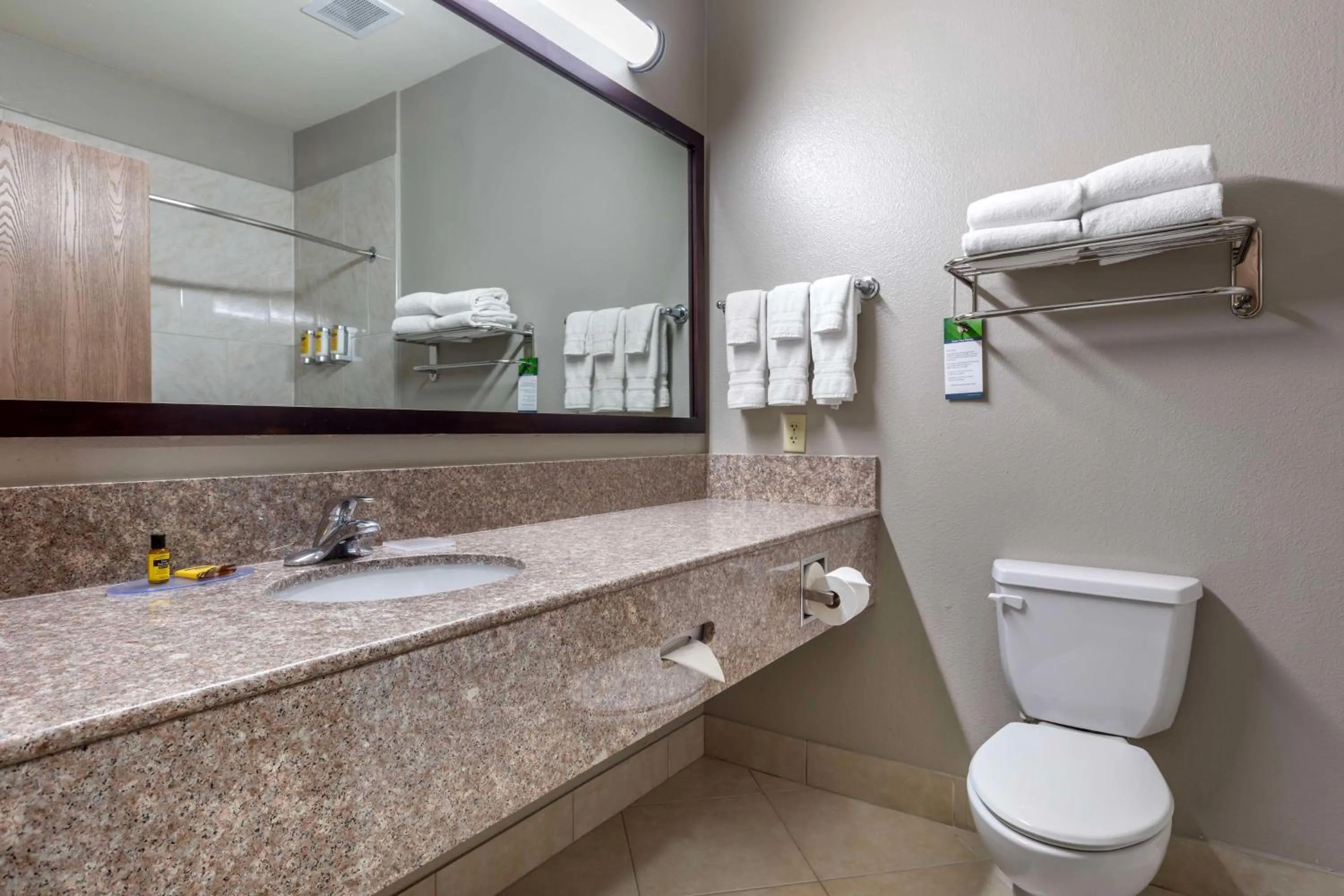Bathroom in Best Western Plus Mansfield Inn & Suites