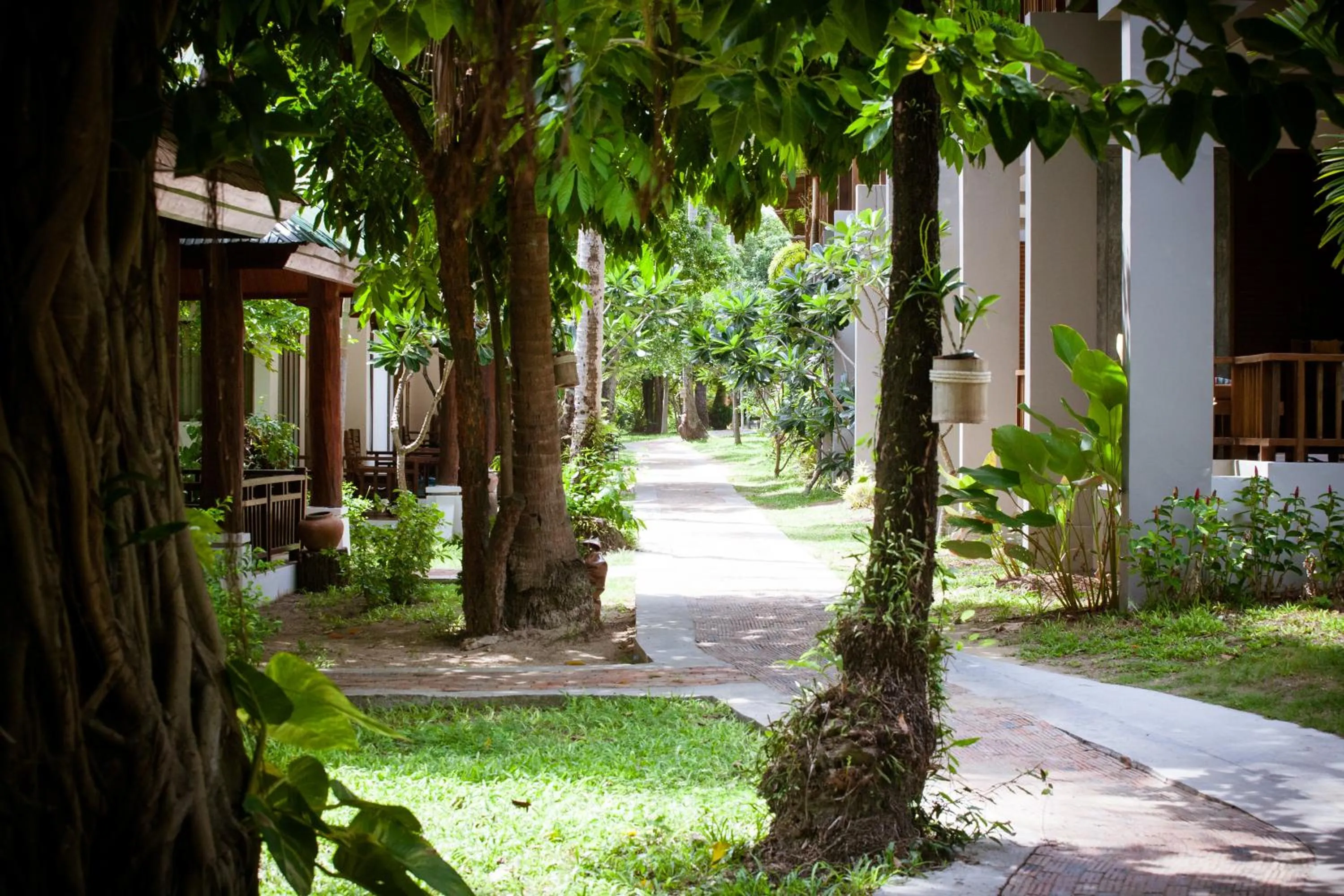 Natural landscape in Sand Sea Resort Railay Beach
