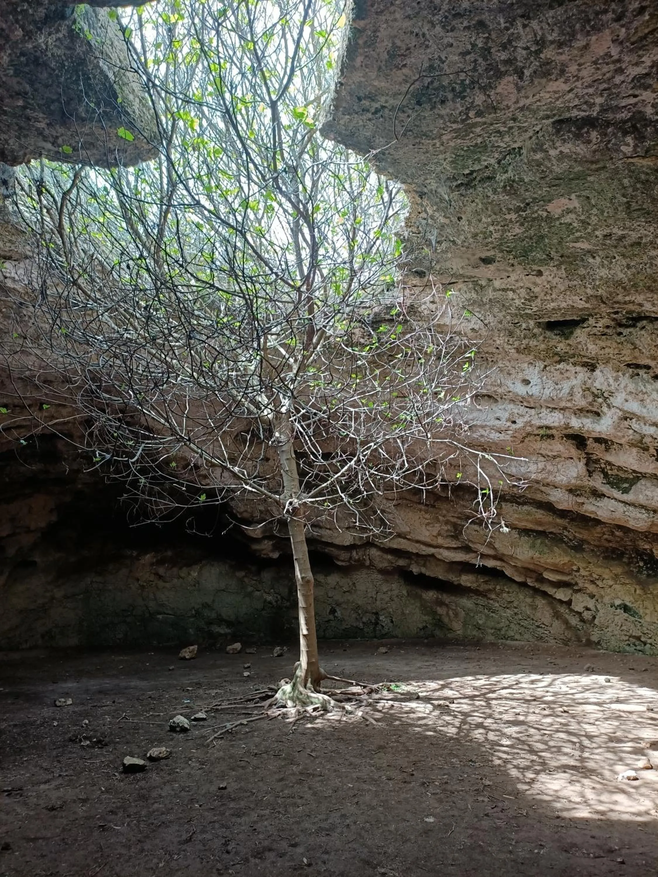 Natural landscape in B&B U Mare Mio