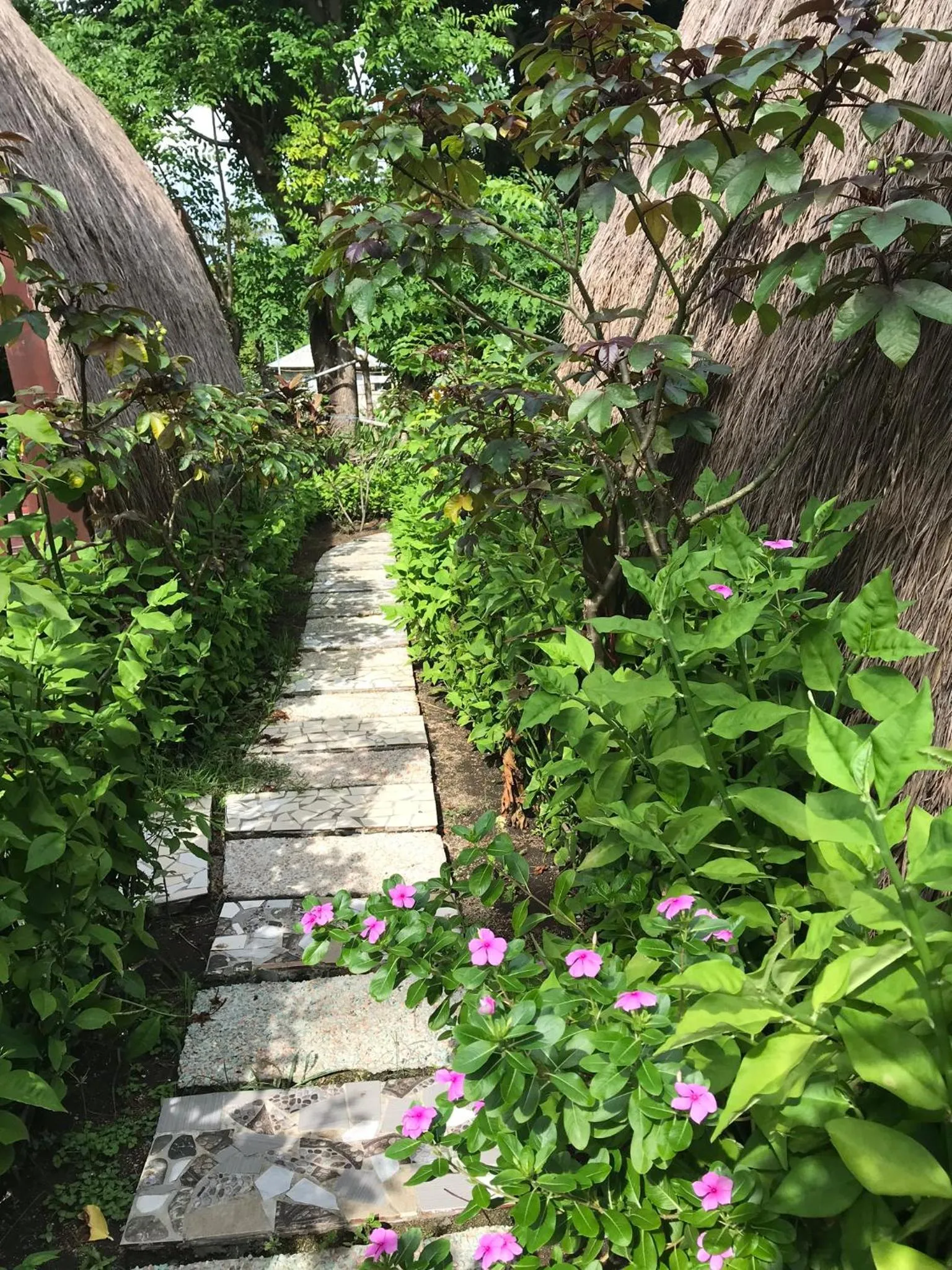 Natural landscape in Meno Madia Bungalows
