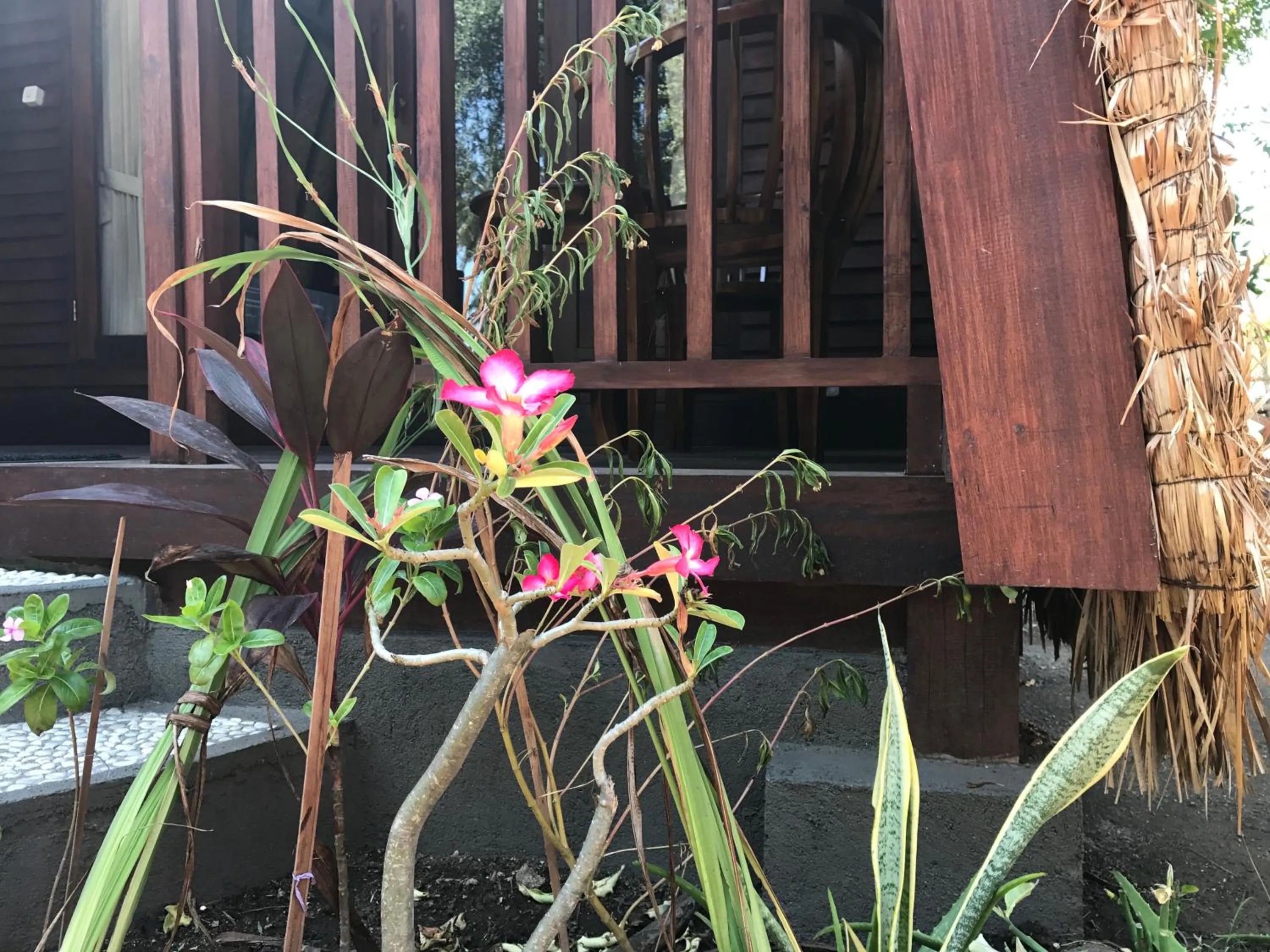 Meno Madia Bungalows