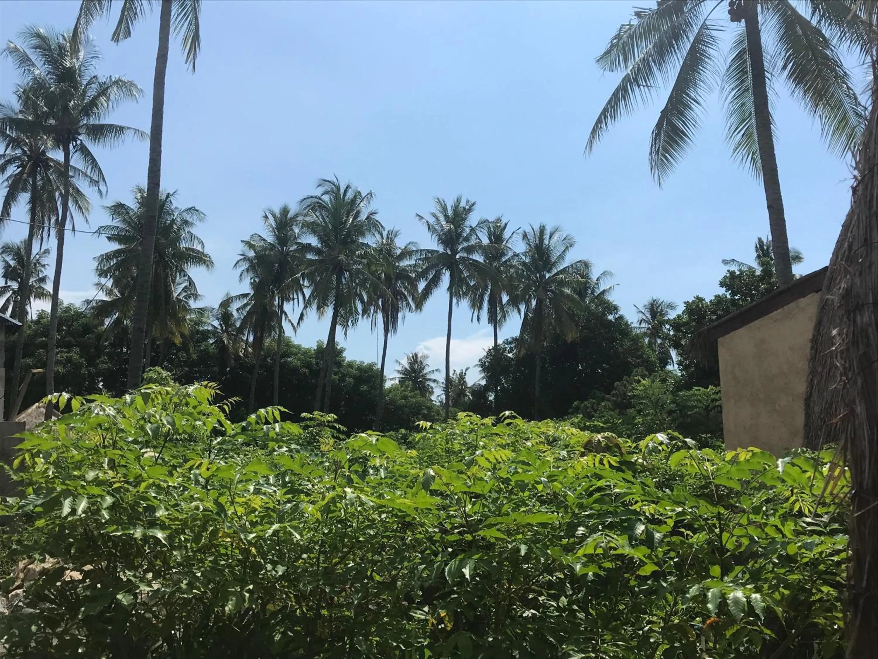 Meno Madia Bungalows