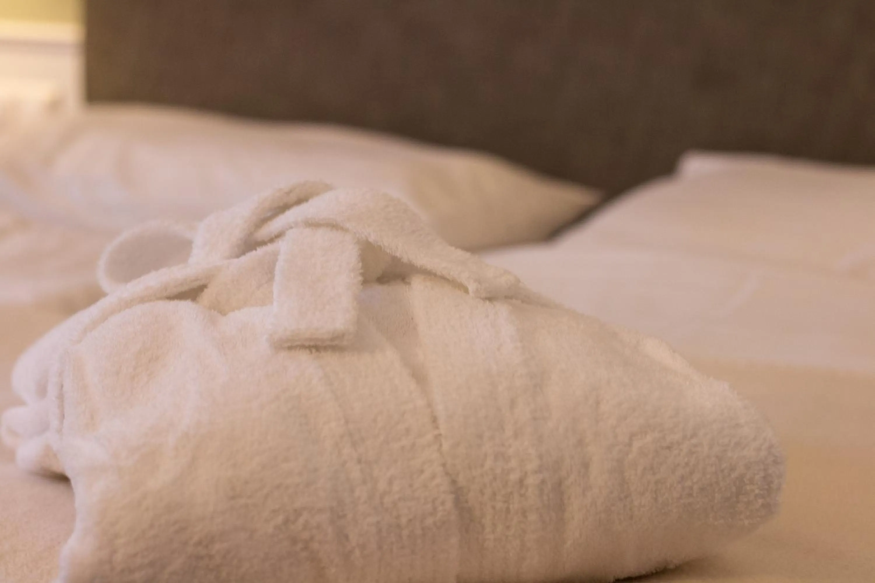 Other, Bed in Villa Bucher - Metnitztalerhof