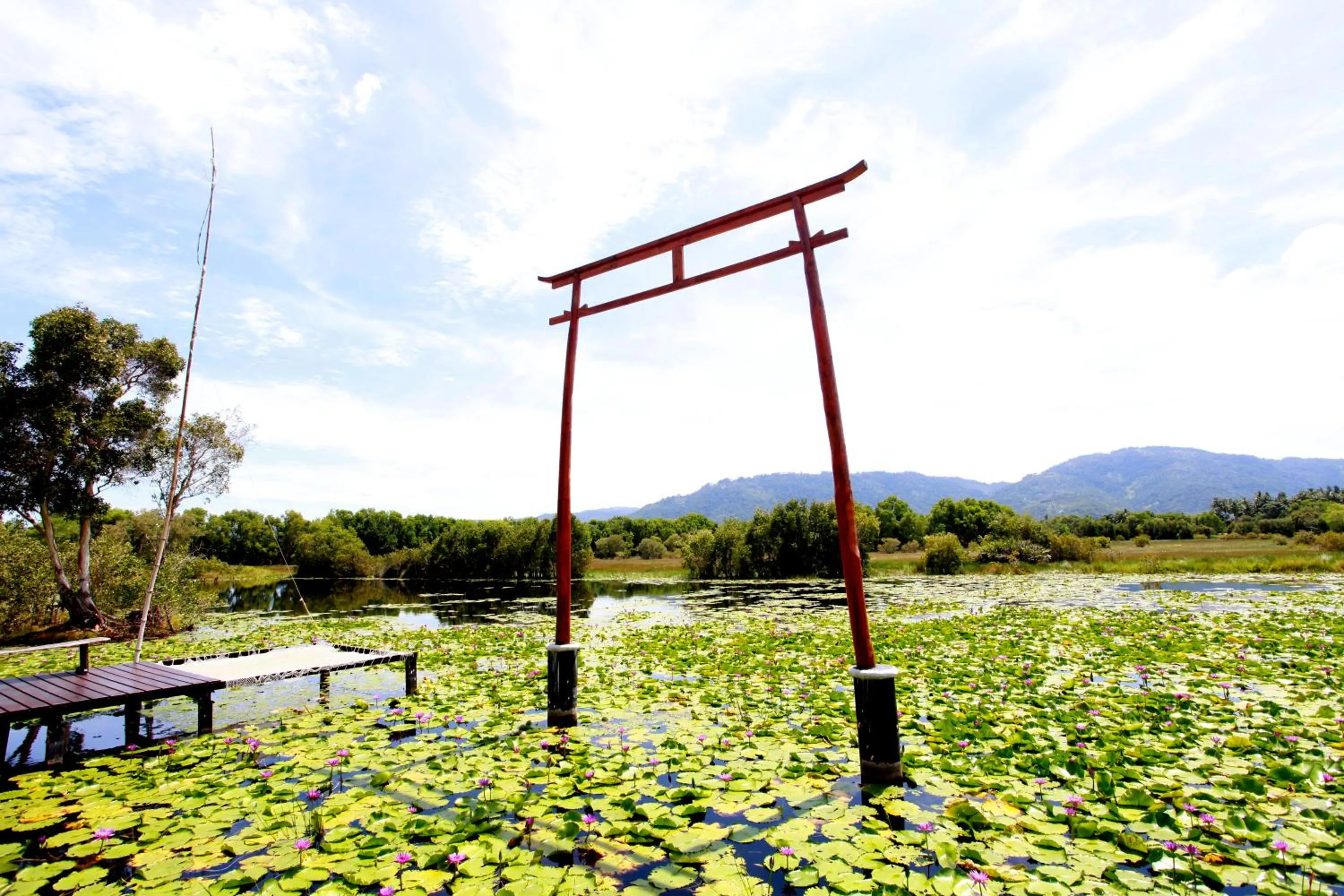 Saree Lagoon Villa Koh Samui