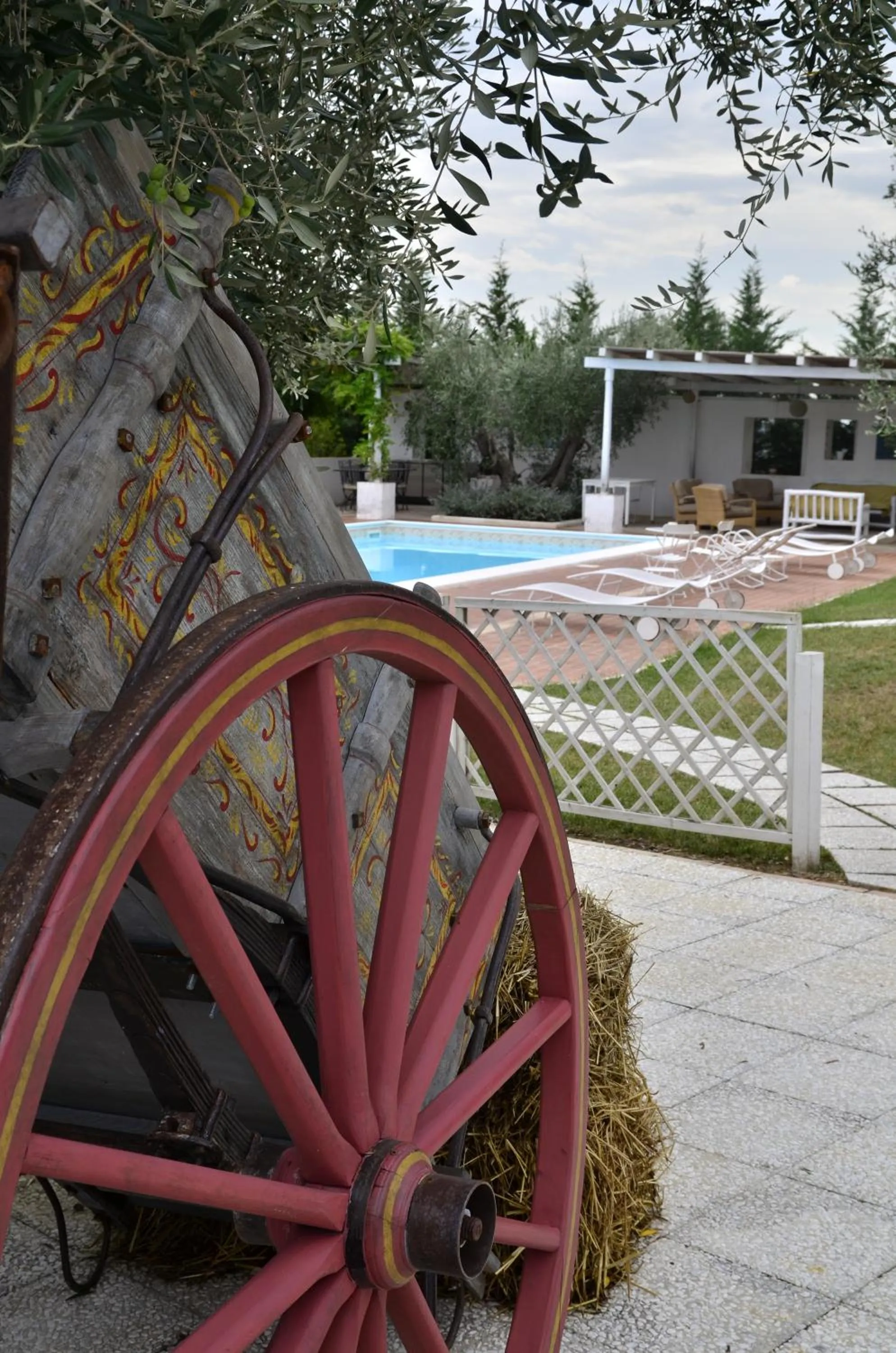 Garden in Hotel Giardino Giamperduto