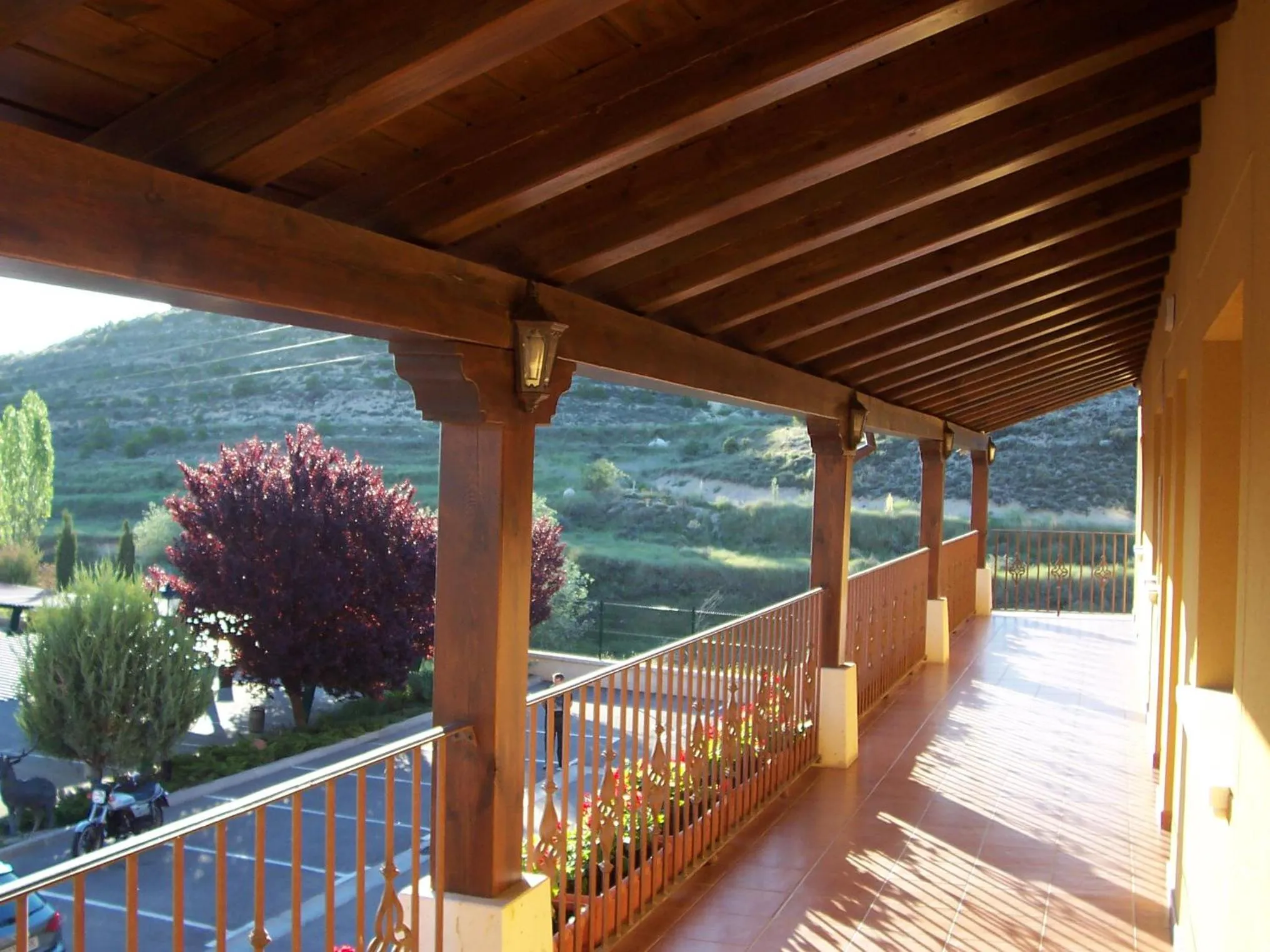 Balcony/Terrace in Hotel Milagros Rio Riaza