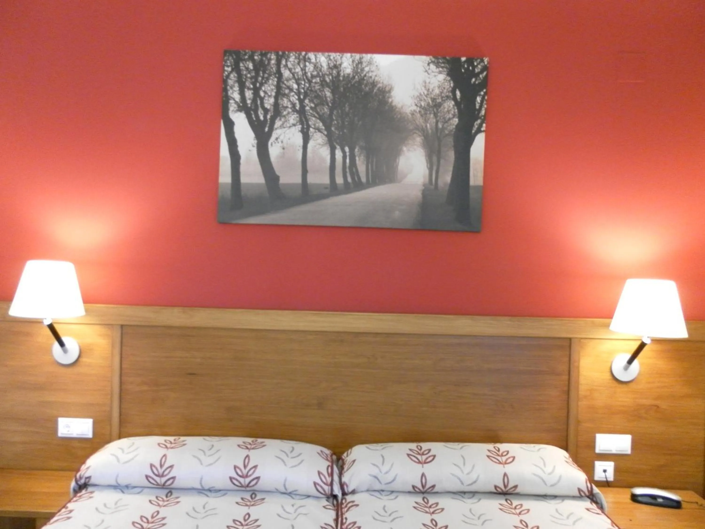 Bed in Hotel Milagros Rio Riaza