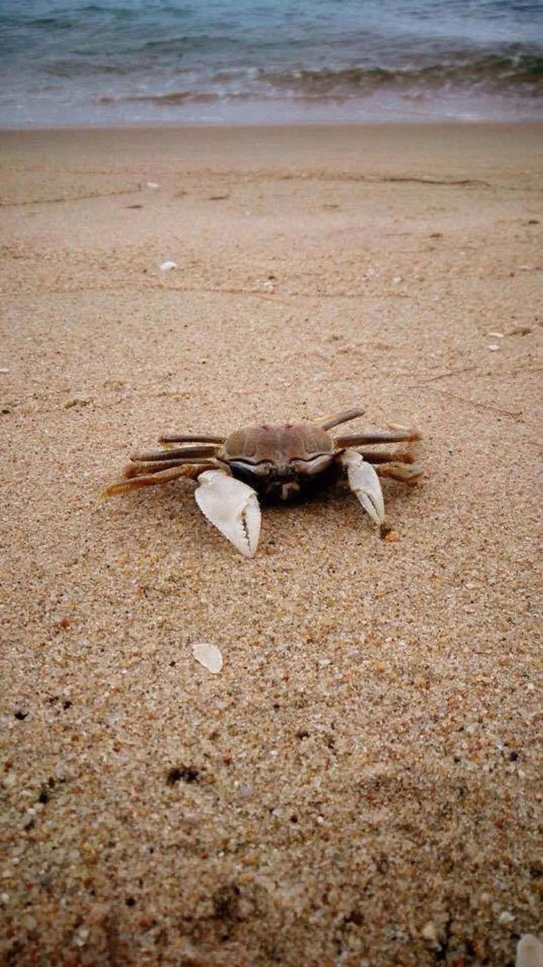 Bayview Beach Resort