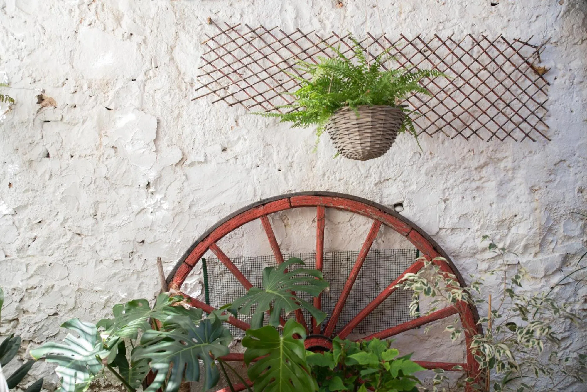 Garden in Casa Arizo, Adults Recommended