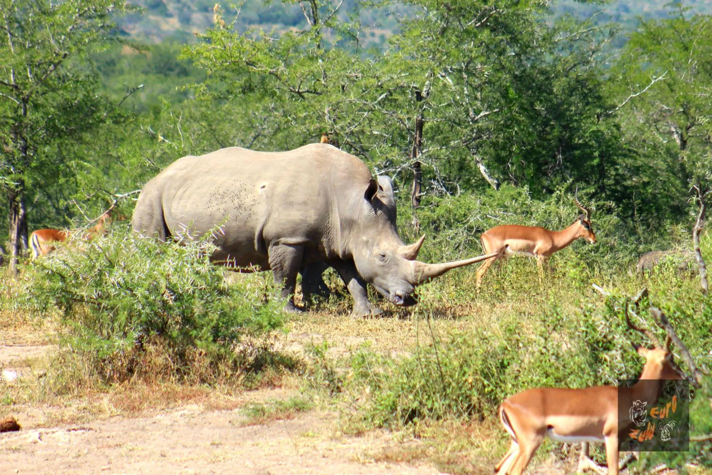 Natural landscape in Lodge Afrique
