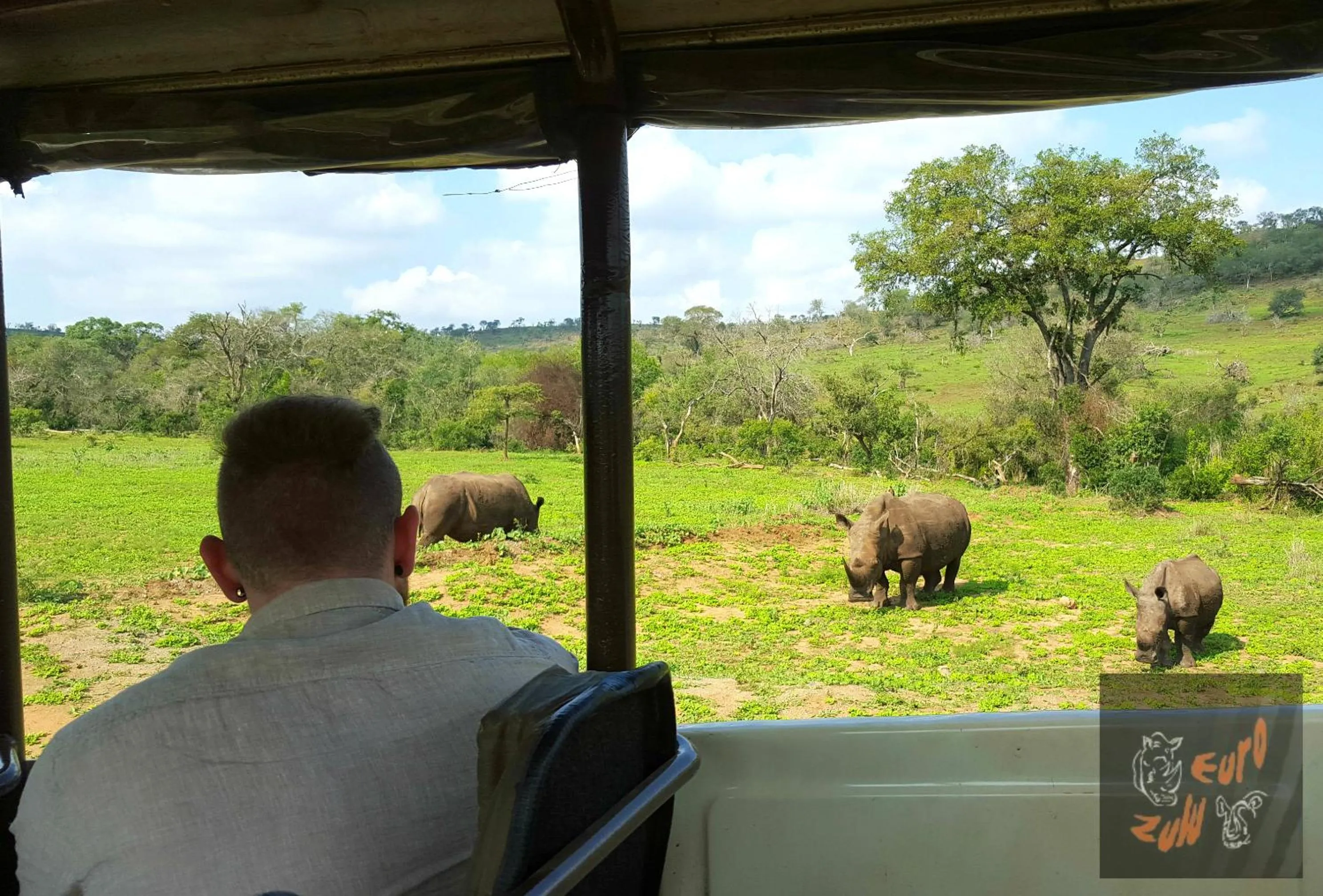 Animals in Lodge Afrique