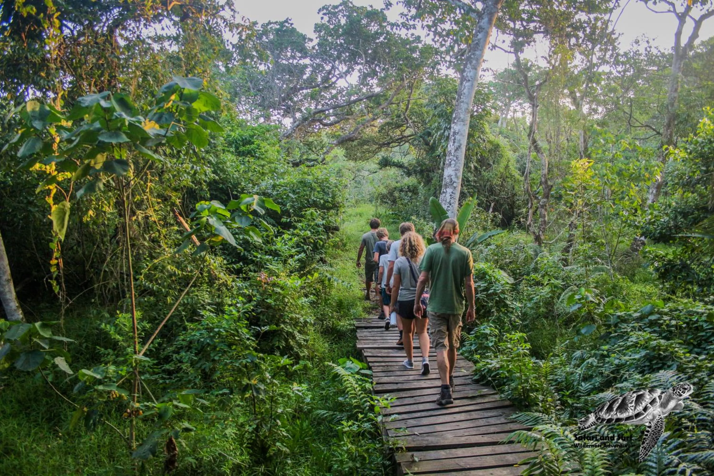Natural landscape in Lodge Afrique