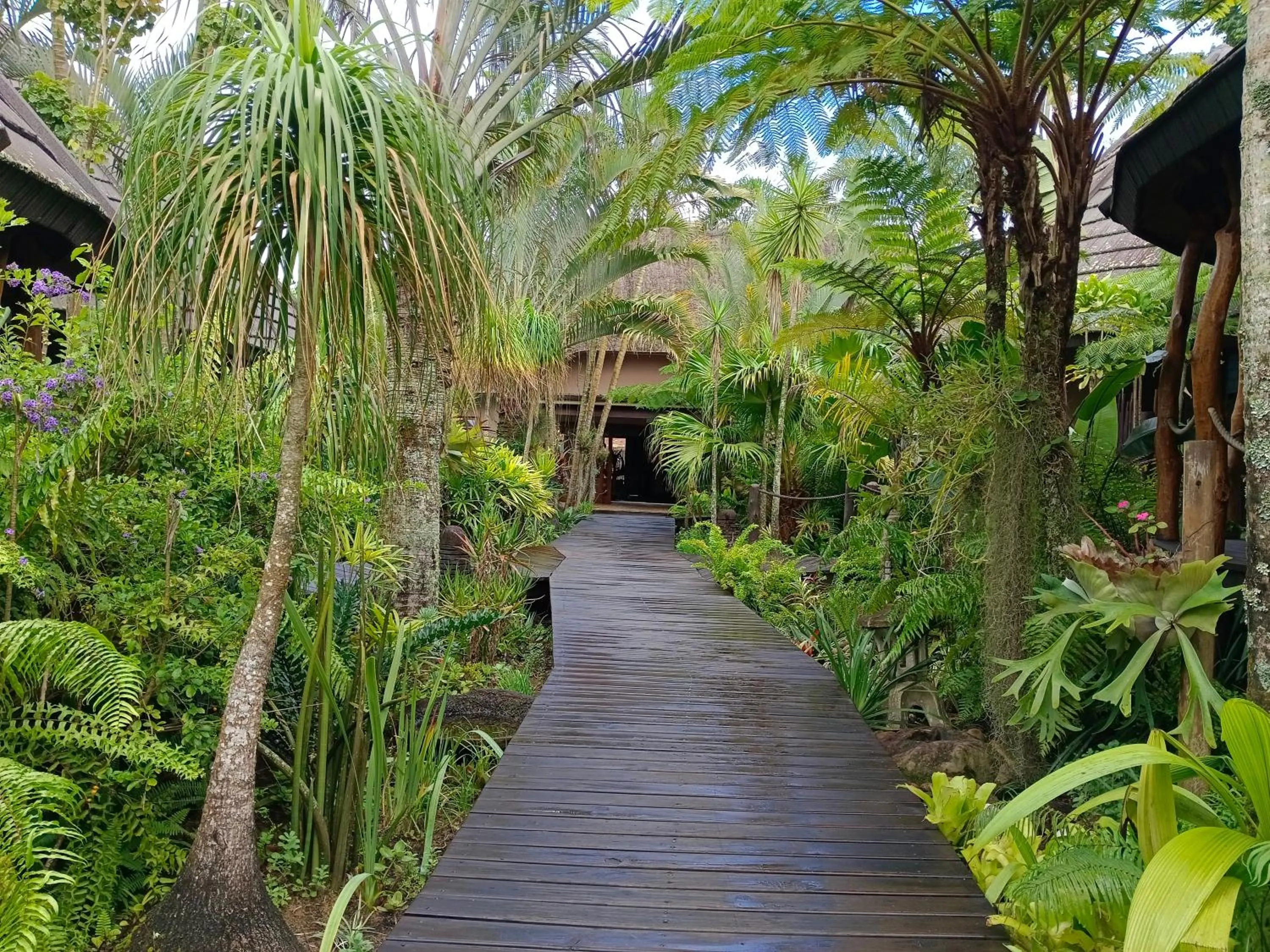 Garden in Lodge Afrique