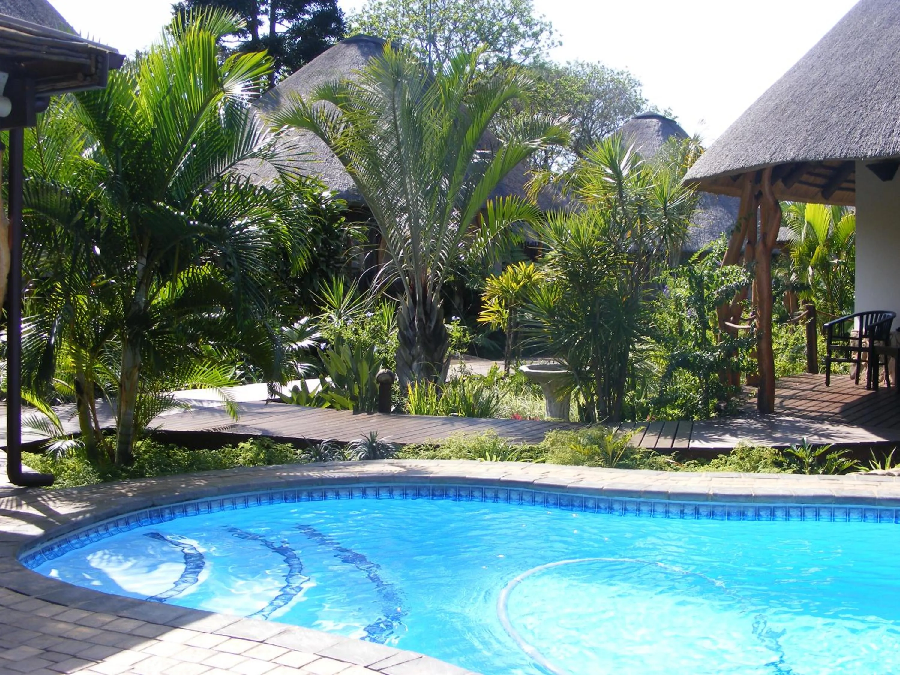 Pool view in Lodge Afrique