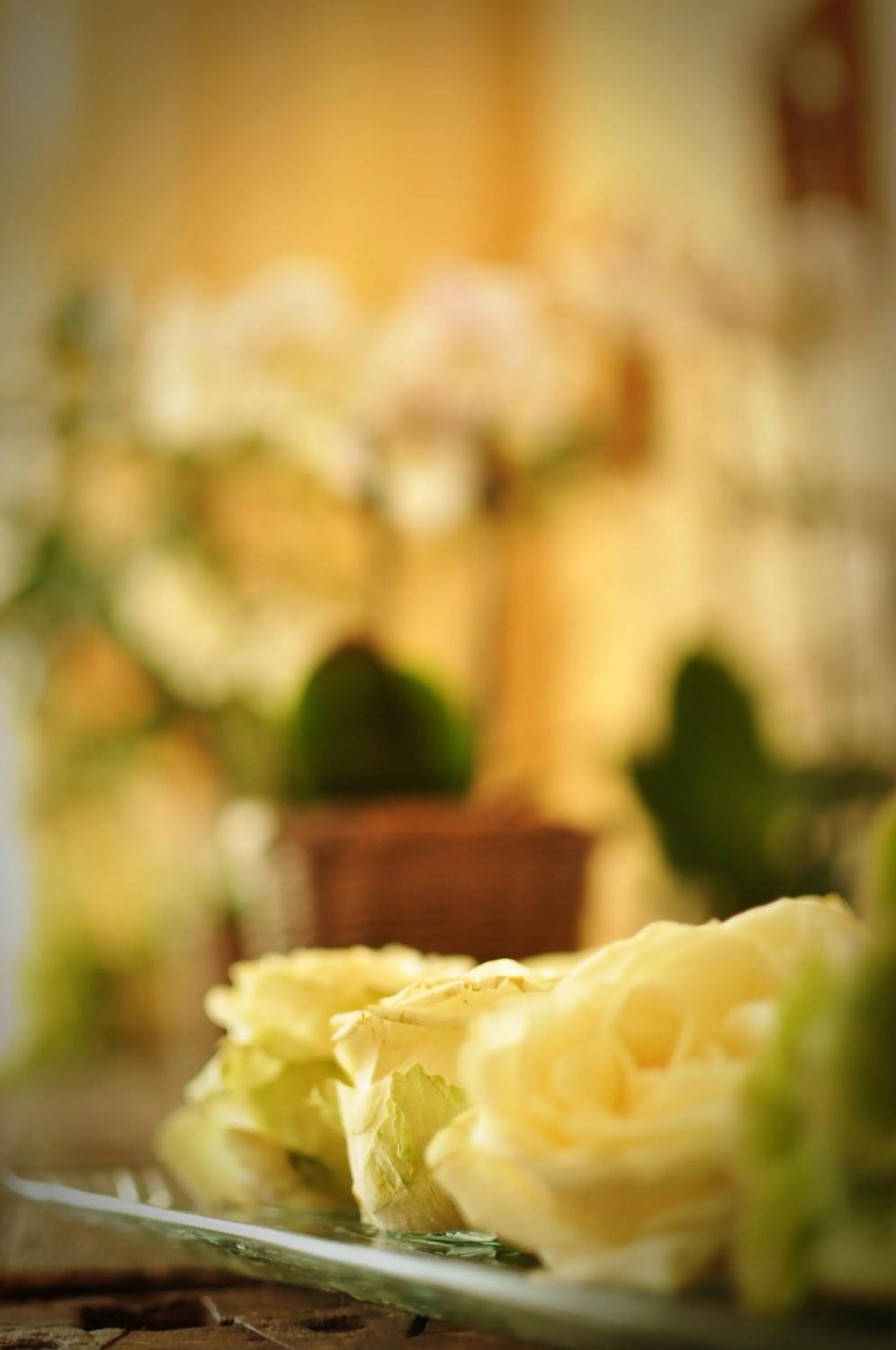 Other in Hotel Litjes